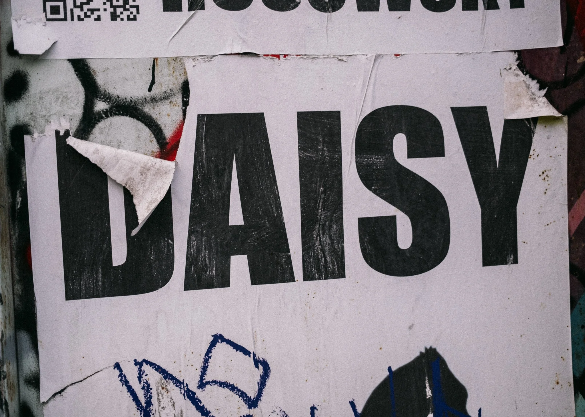 Daisy