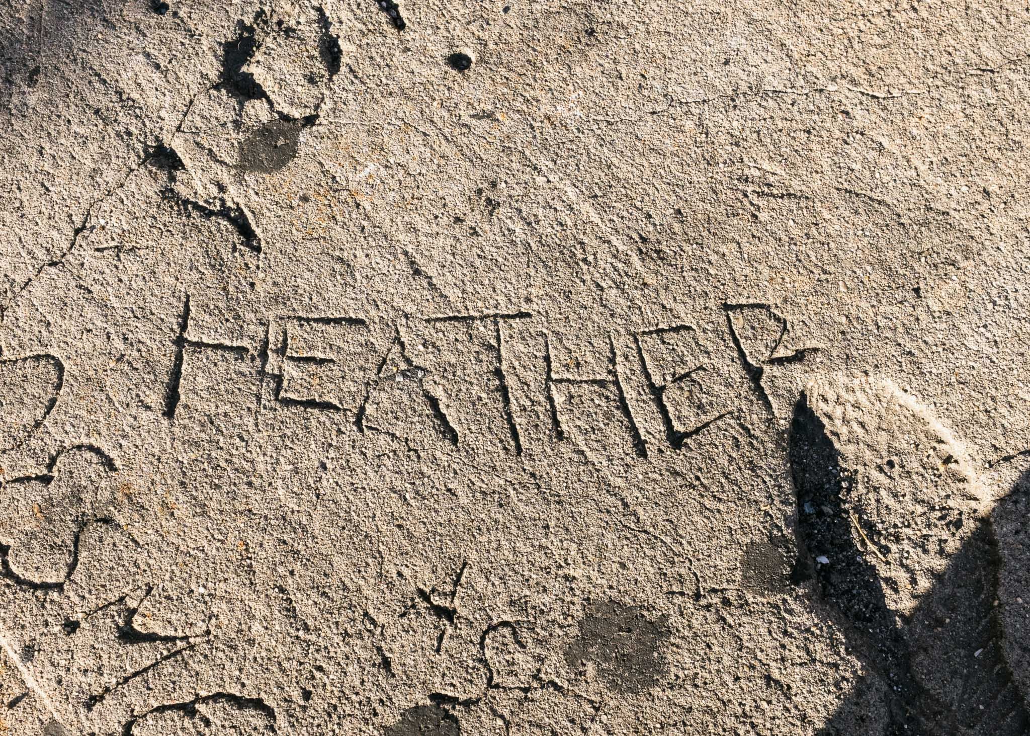 Heather
