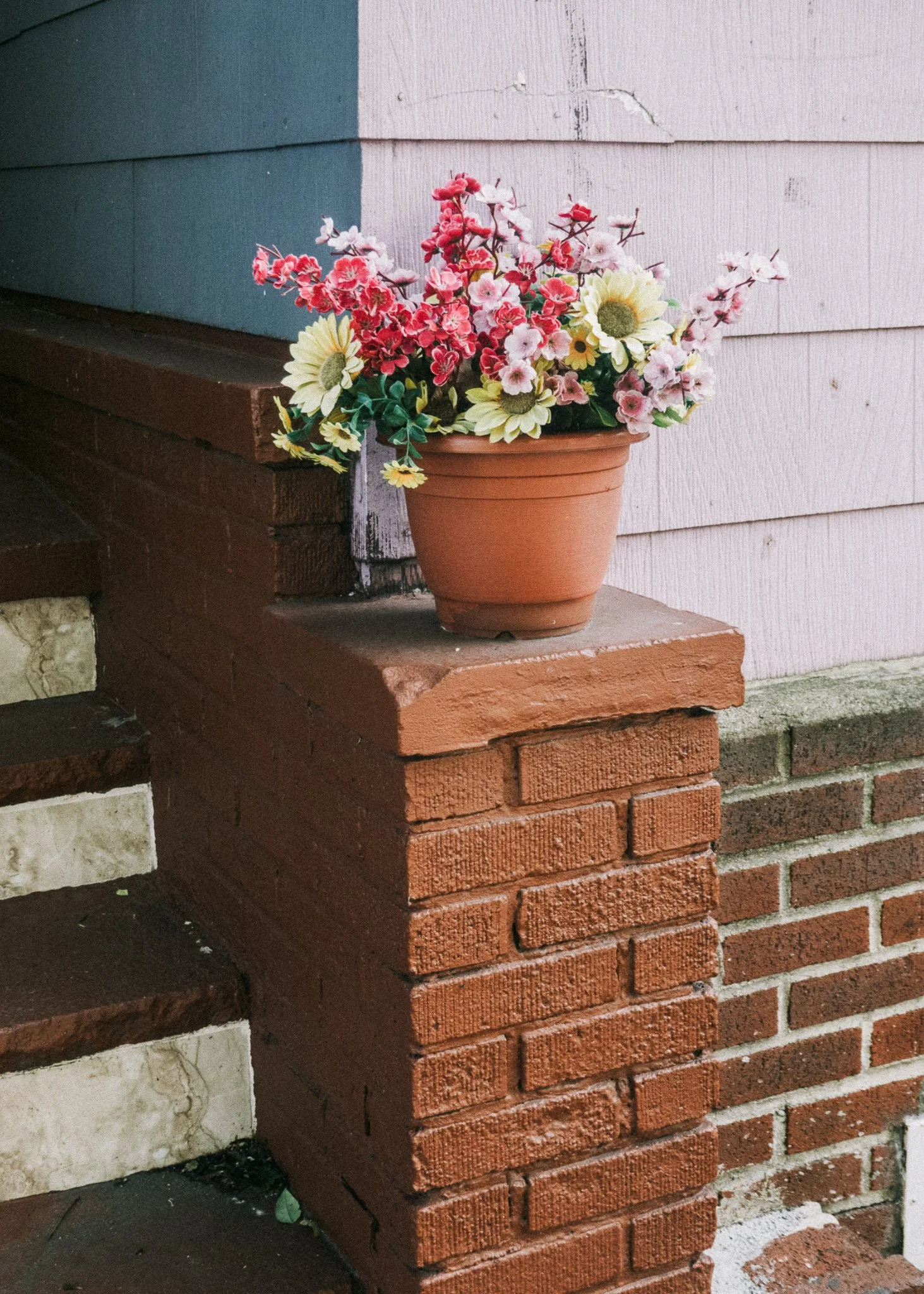 KevinGask_Flower_08.jpg