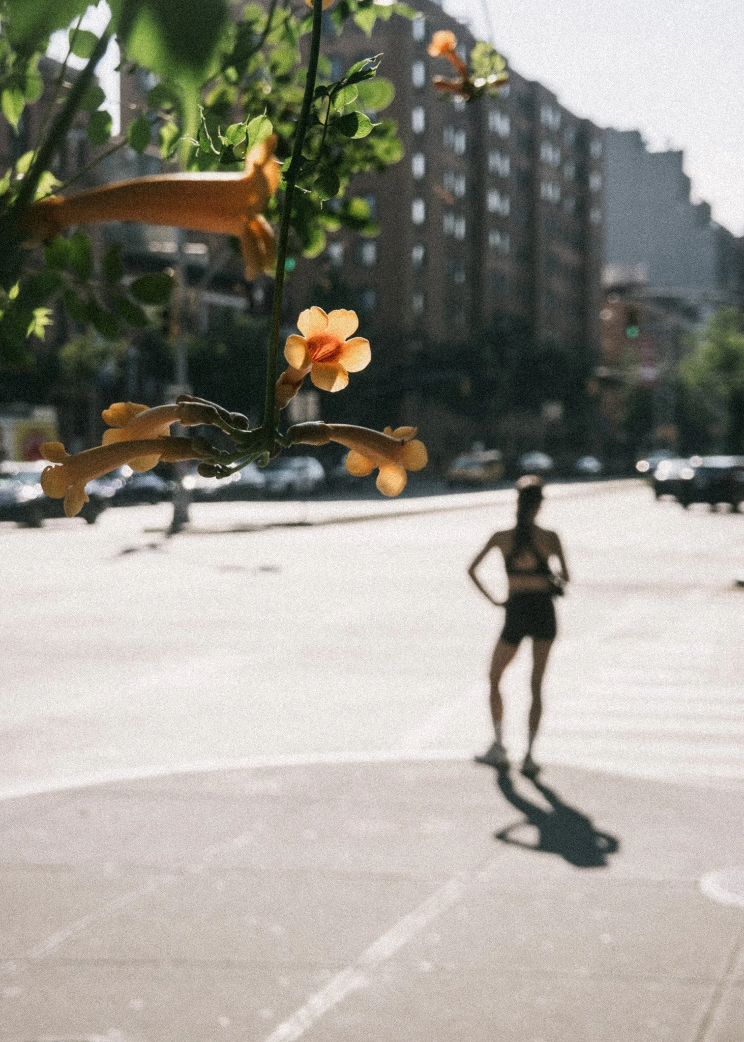 KevinGask_Flower_03.jpg