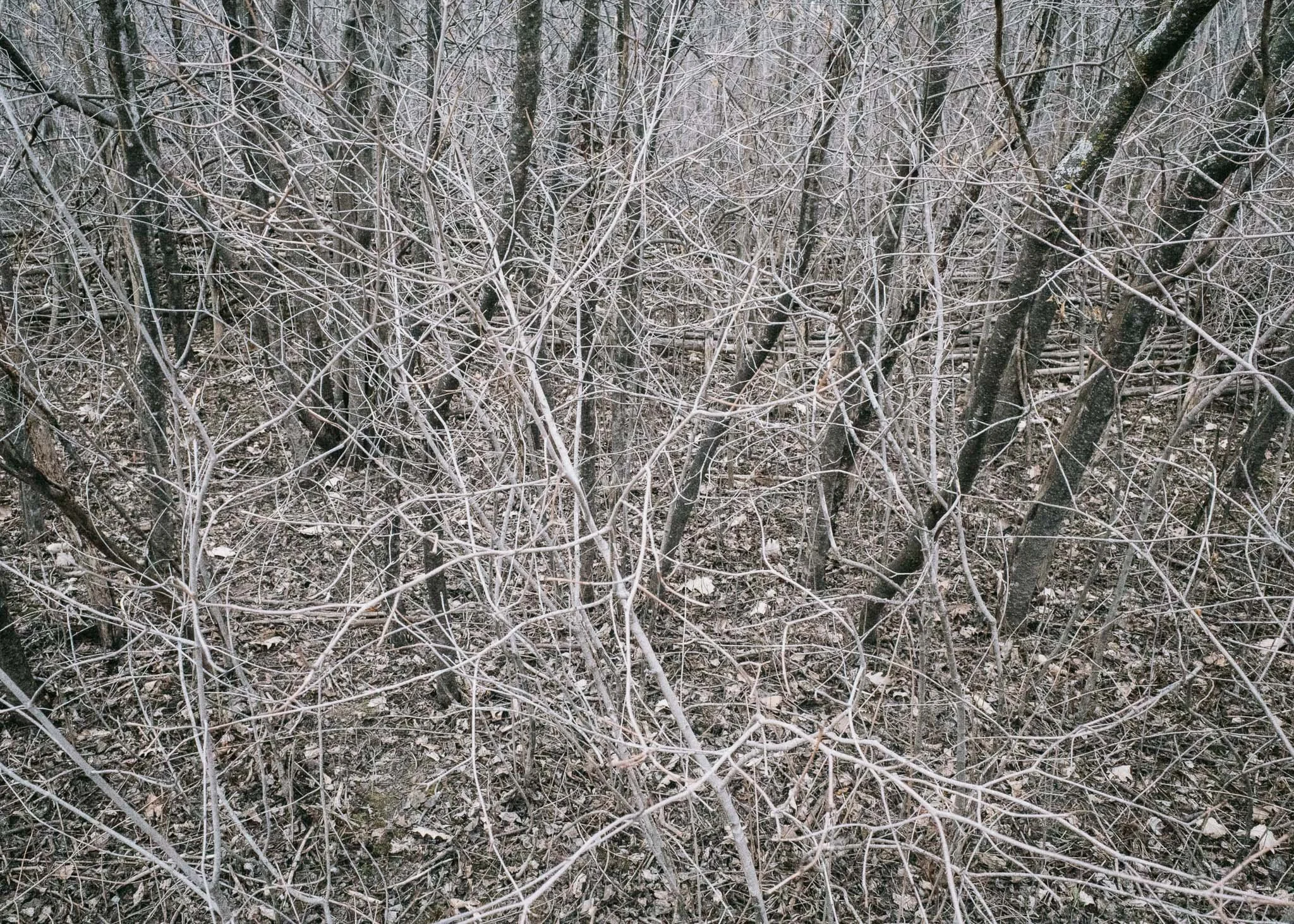 KevinGask_Abstract_15.jpg
