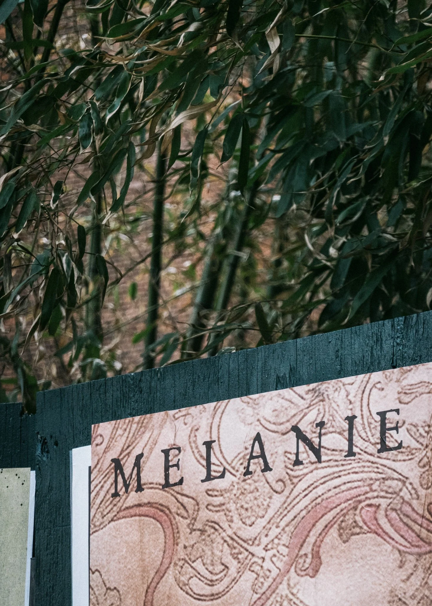 Melanie