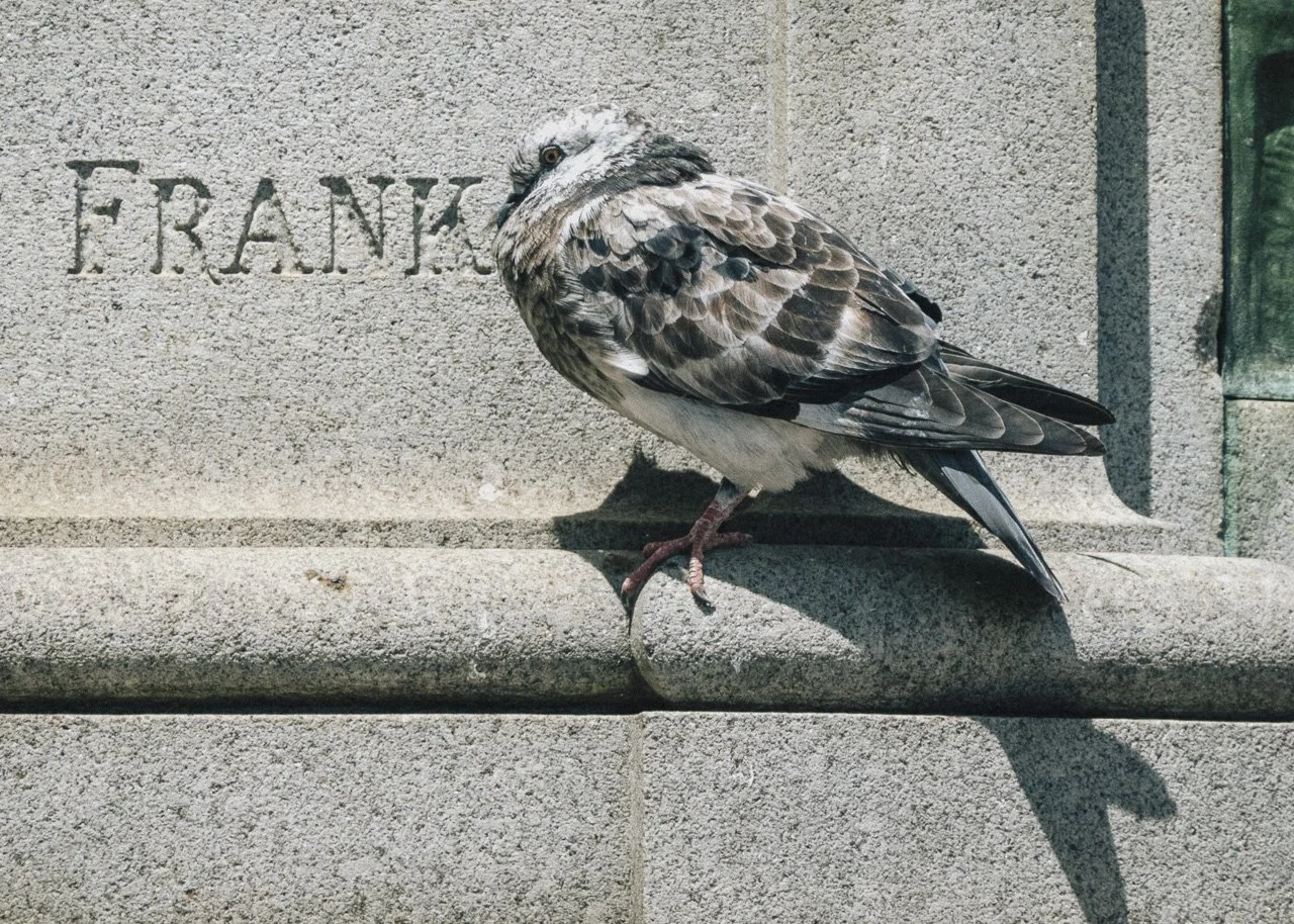 Frank