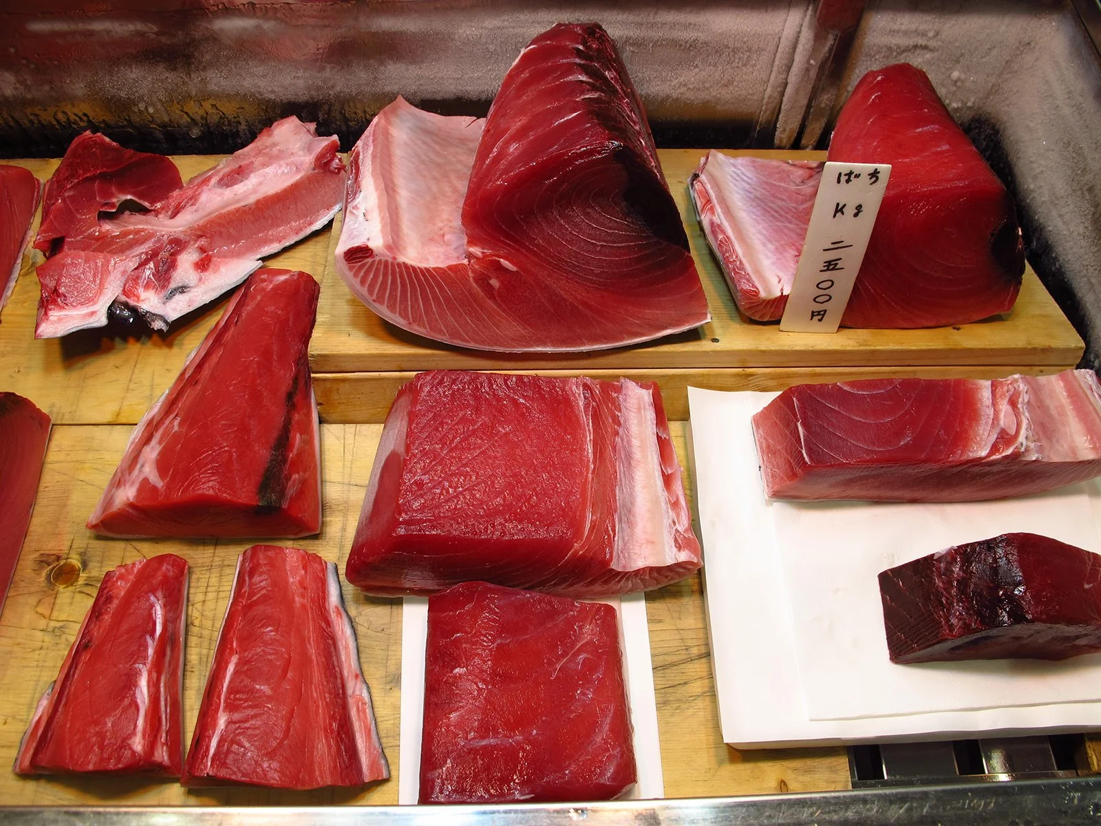 mebachi maguro bigeye tuna toyosu.JPG