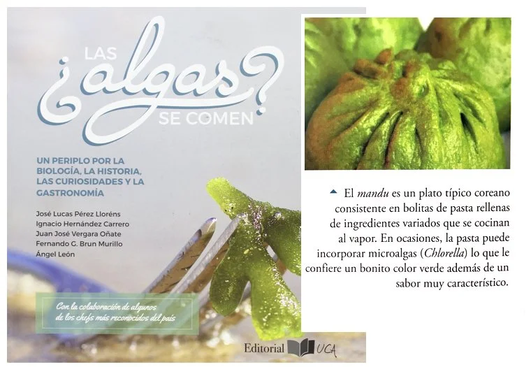 las-algas-se-comen-book.jpg