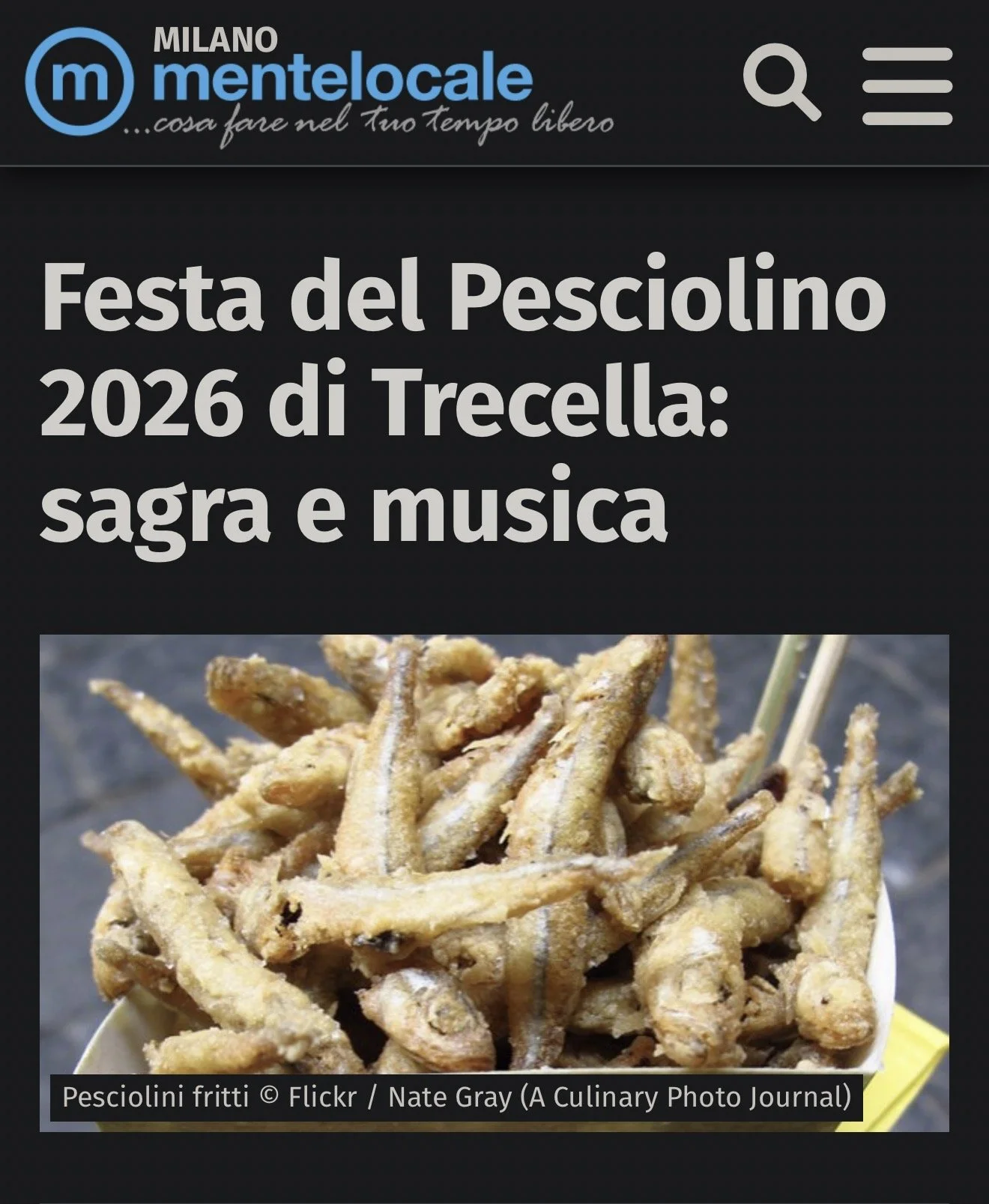 Milan Italy Festival.jpg