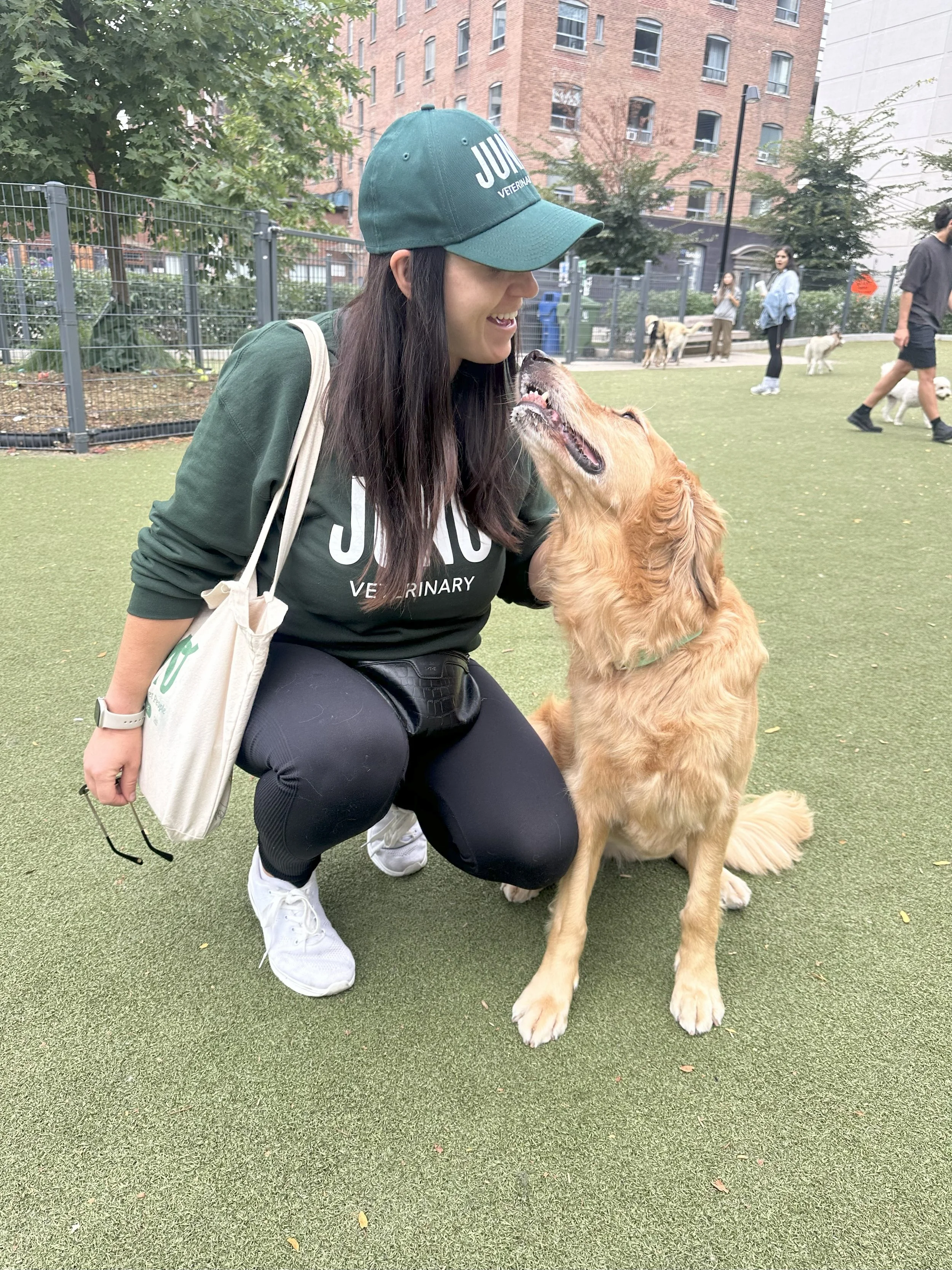 A woman kneeling on a grassy dog park field, smiling and leaning towards a sitting golden retriever. The woman is wearing a green cap and sweatshirt with 'JUN' on it, and white sneakers. She has a small pouch on her lap and a tote bag on her shoulder. The dog is looking up at her with a happy expression, tongue out, and wearing a green collar. In the background, there are other people and dogs, a chain-link fence, trees, and multi-story brick and white buildings.