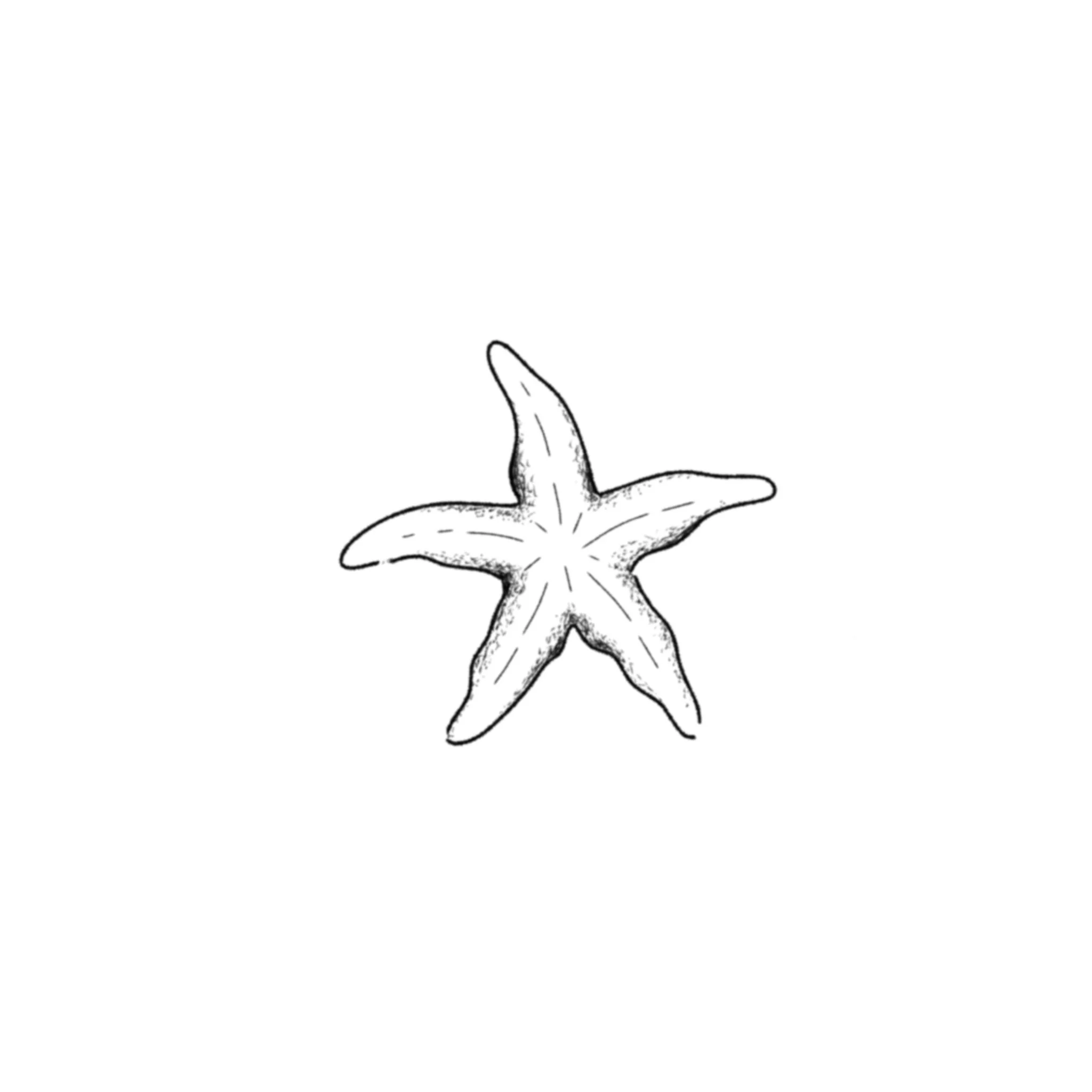 Pointilism Starfish