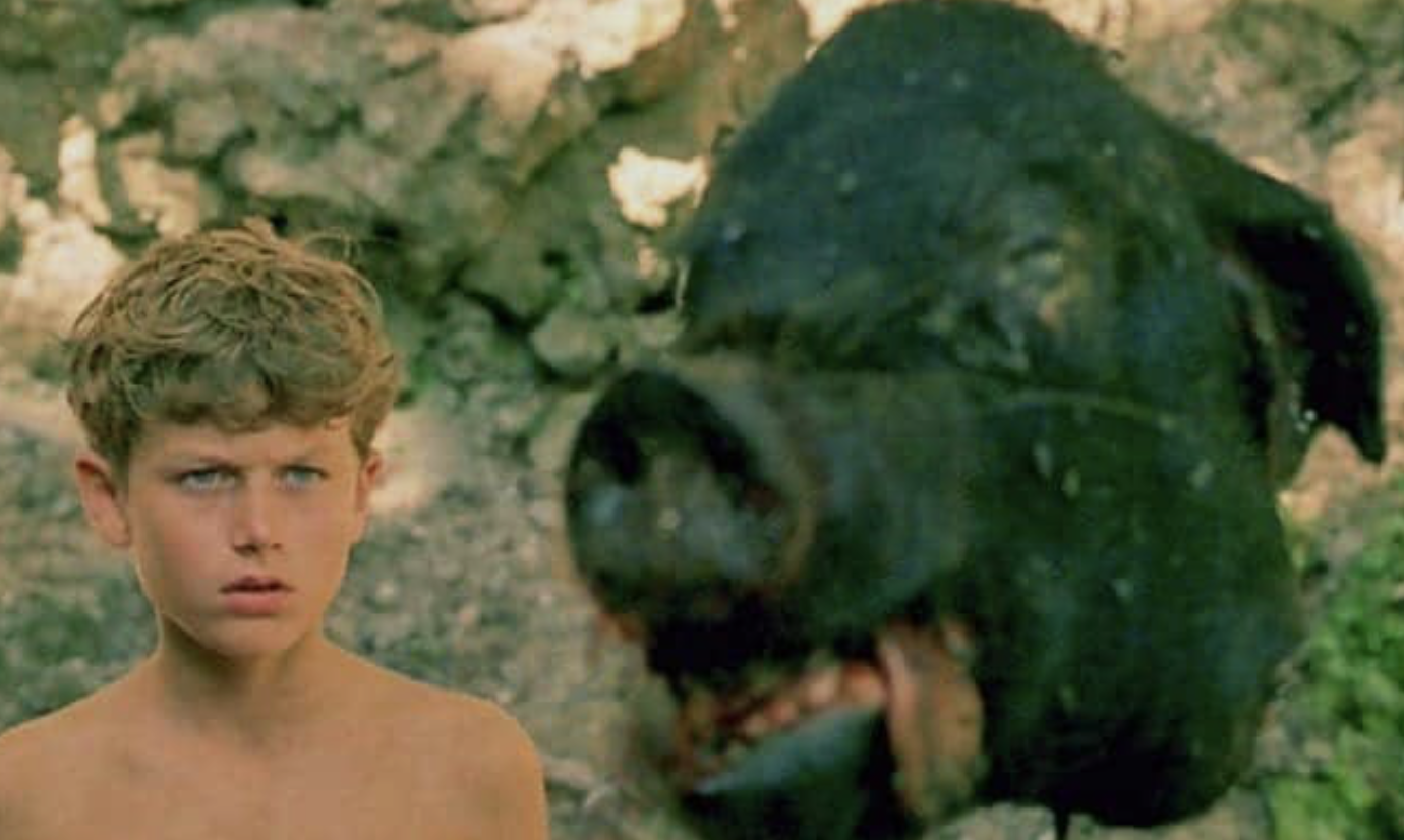 A young boy with dark blonde dirty hair and blue eyes looks on a black pig head, eyeless, with its tongue sticking out in the foreground.
