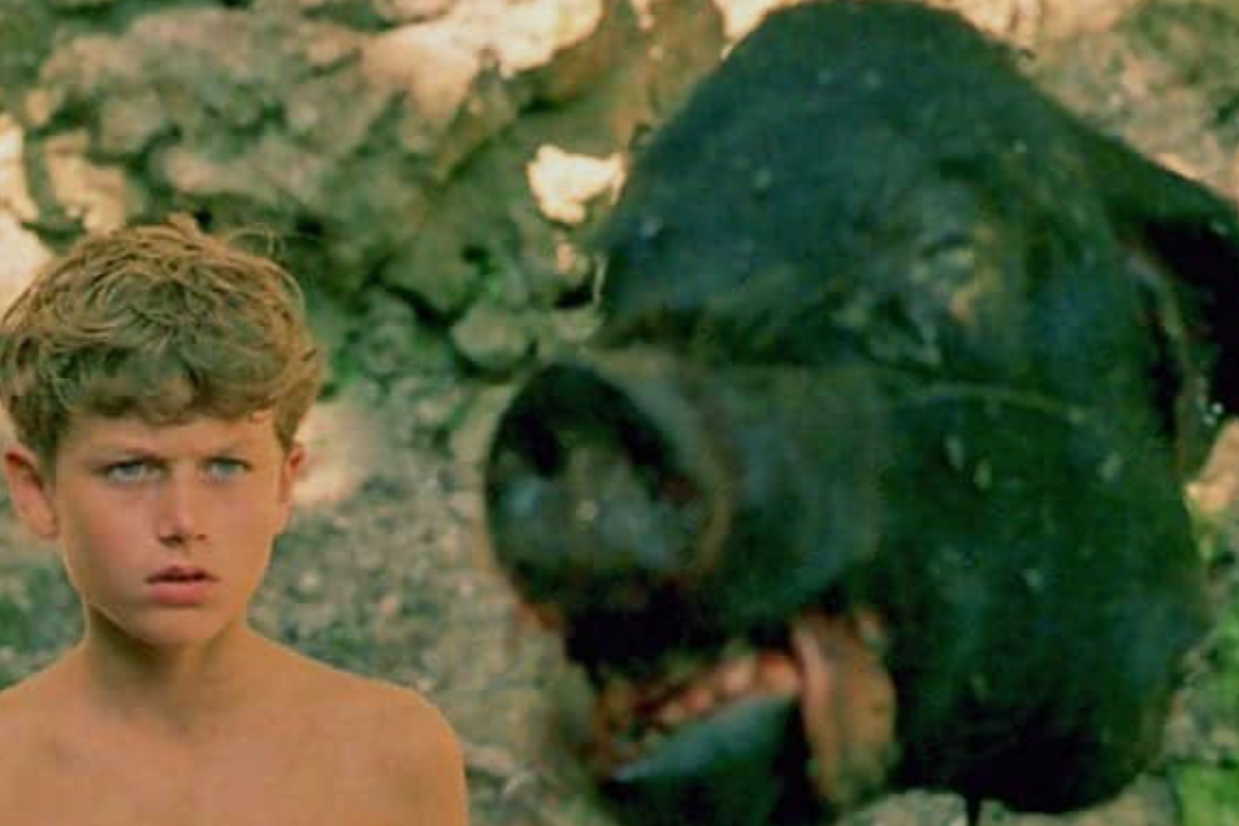 Simon in Lord of the Flies: Grade 9 Analysis 