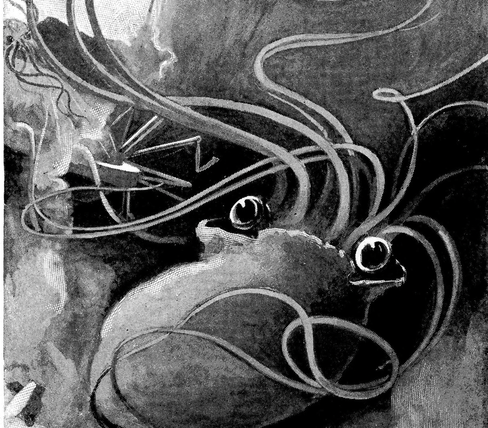 A black and white image of a Martian. Has a big bulbous head, 2 white eyes and tentacles. Almost looks flipped upside down.