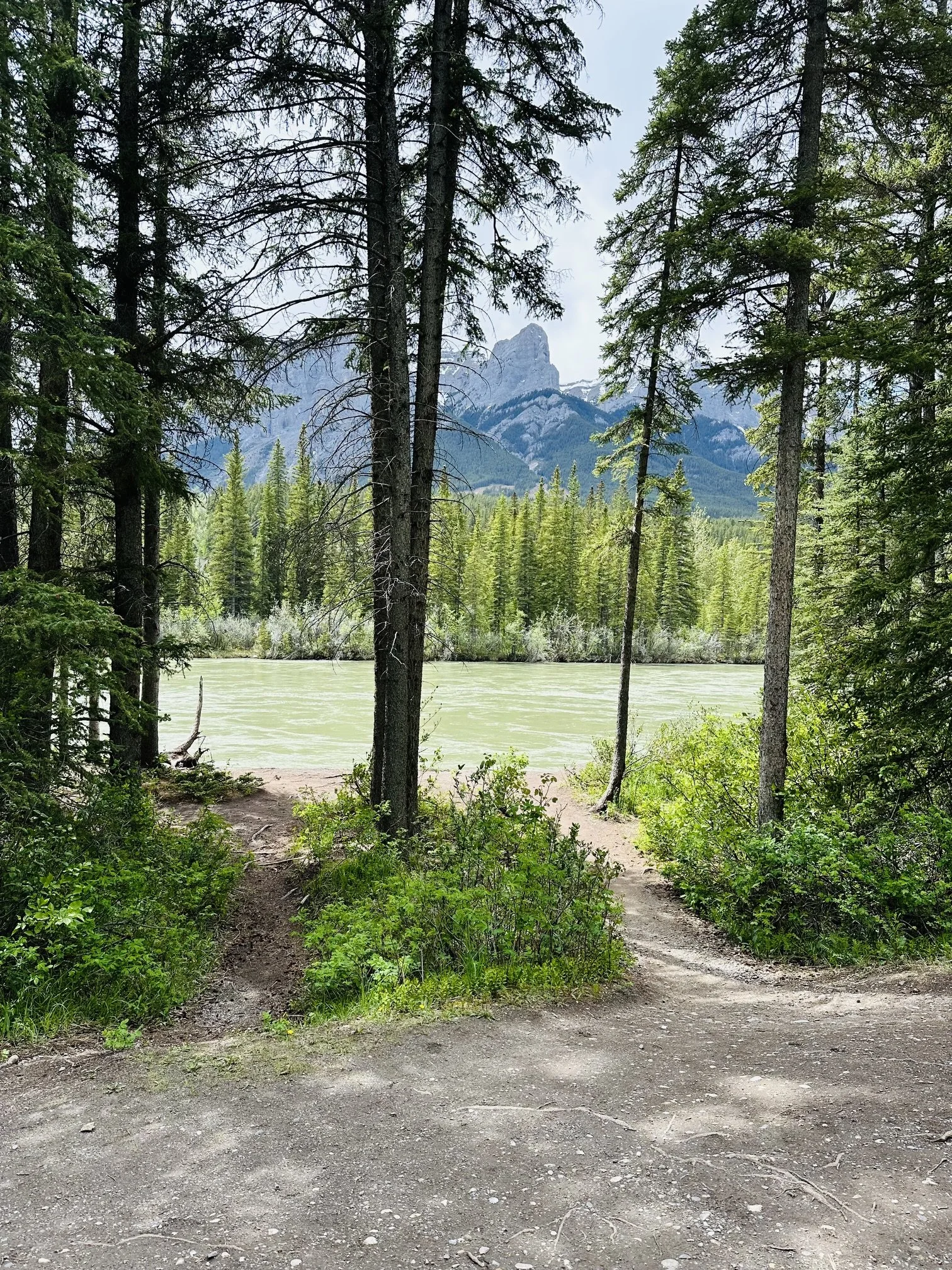 A dirt trail leading to a lake surrounded by green trees with a mountain in the background.