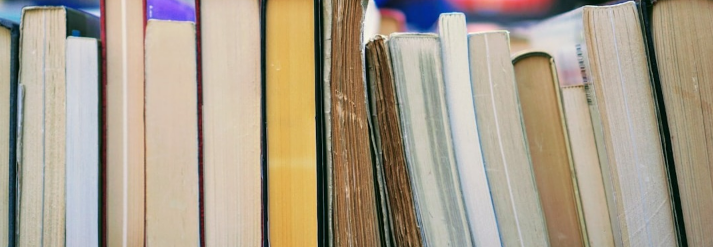 Digital Event: Business Book Club, Blue Ocean Strategy by Chan Kim and Renée Mauborgne