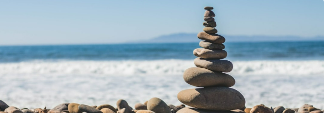 Denver IRL: Denver Wellness Referral Network