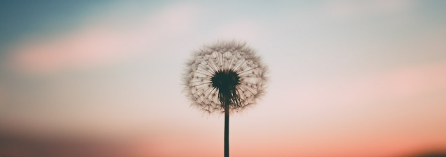 Denver IRL: The Founder Reset: Breathwork for Clarity, Resilience, and Sustainable Success with Courtney Cochran