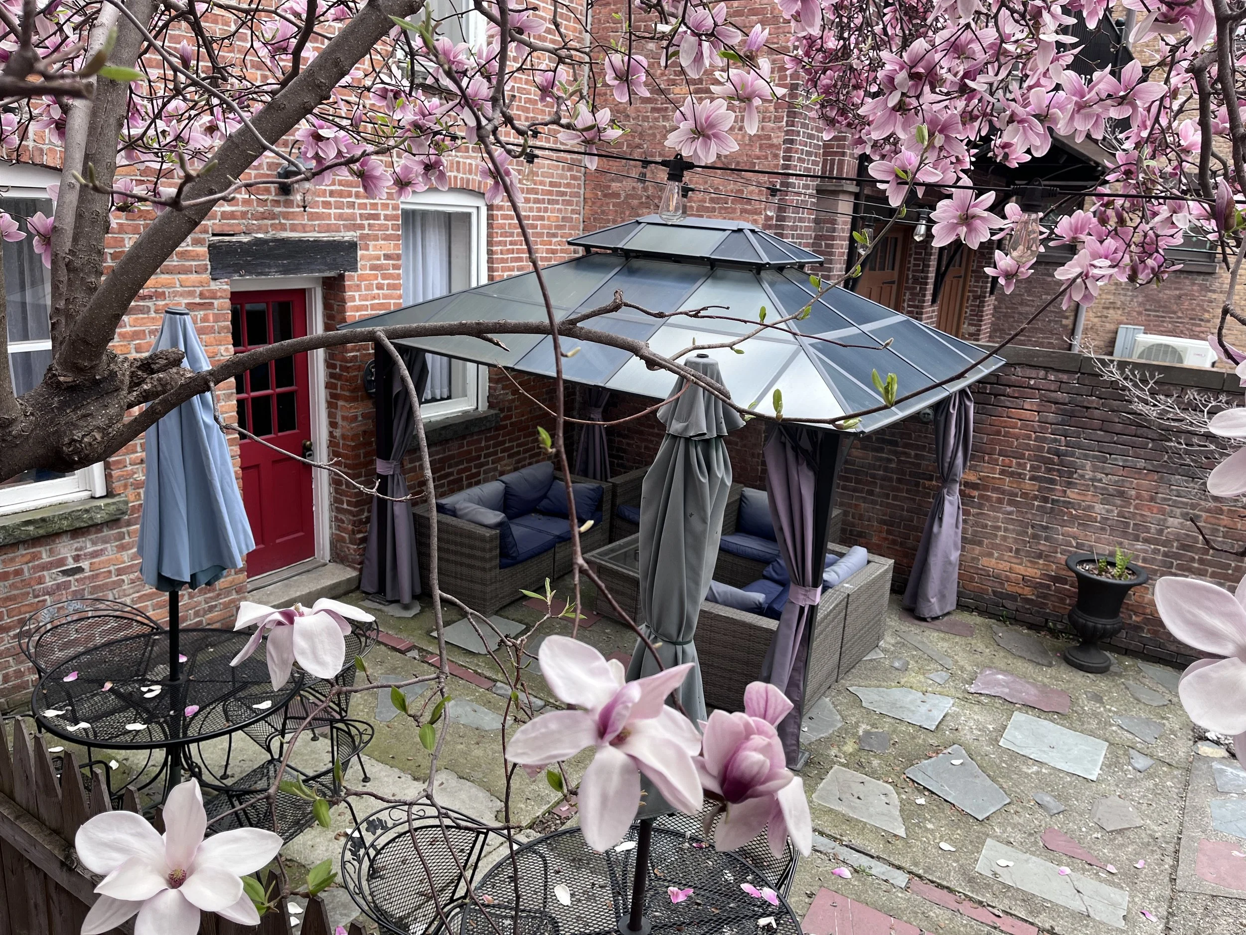 A cozy outdoor patio with wicker furniture and blue cushions, colorful chairs, tables, umbrellas, and blooming pink cherry blossom trees against brick building walls.