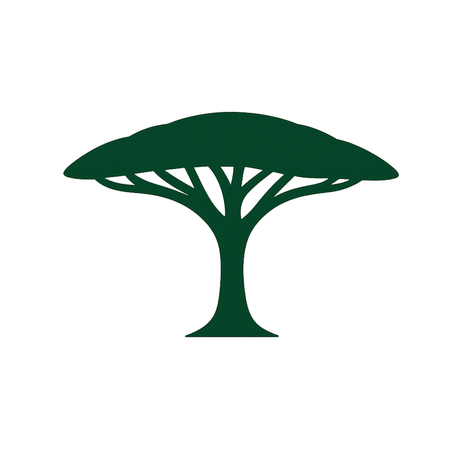 We’re off and running!