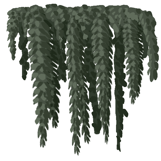 T_Moss_Color.PNG