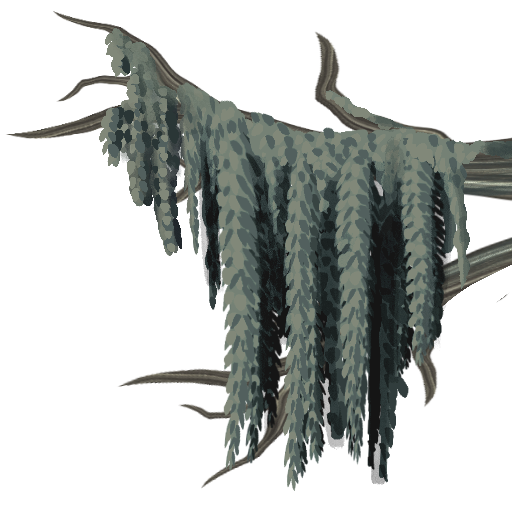 T_MossBranch_Color.PNG