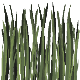 T_TallGrass_Color.PNG
