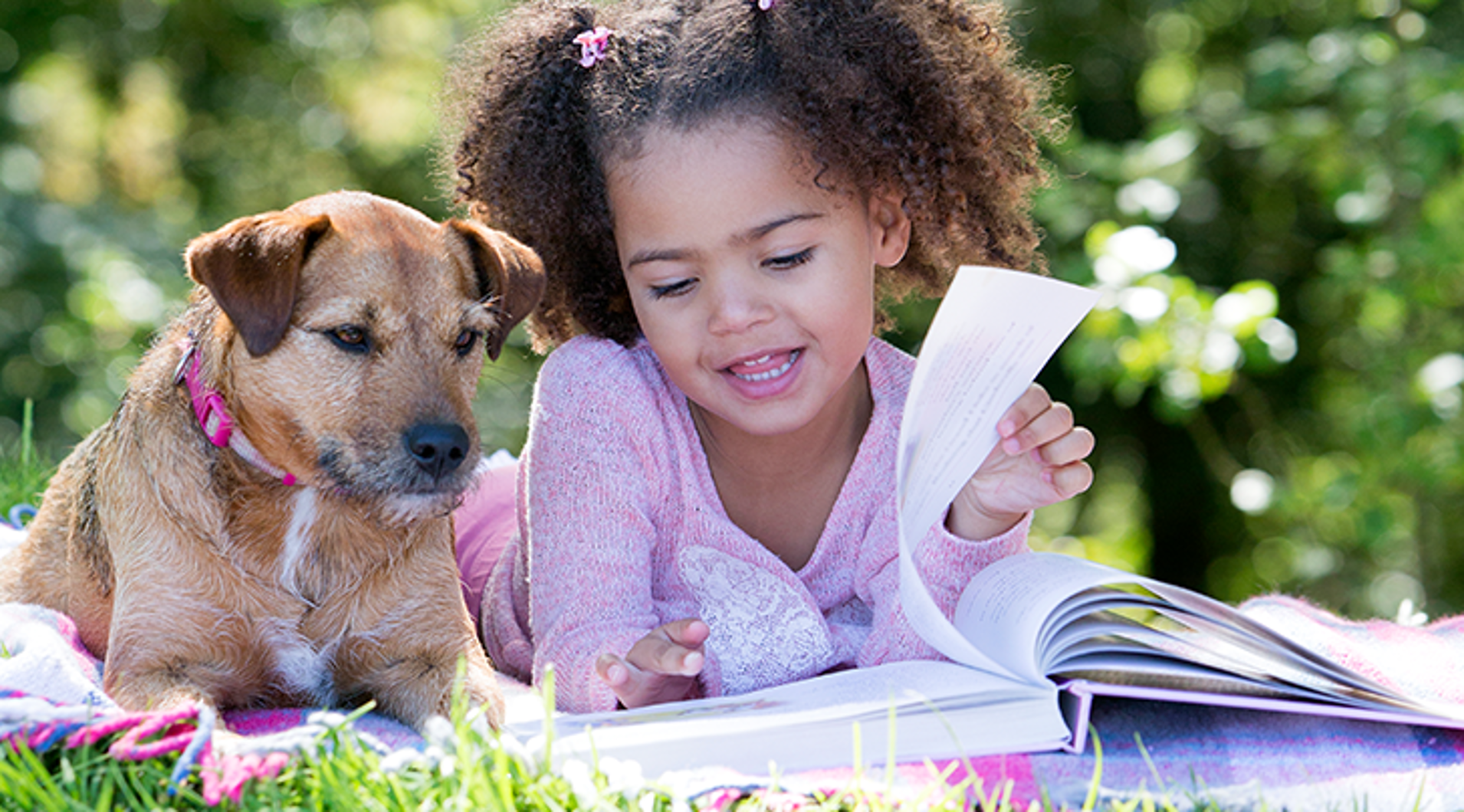 Dyslexia in Calgary: How to Get Your Child Assessed and Supported