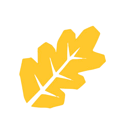 Yellow autumn leaf icon on a black background.