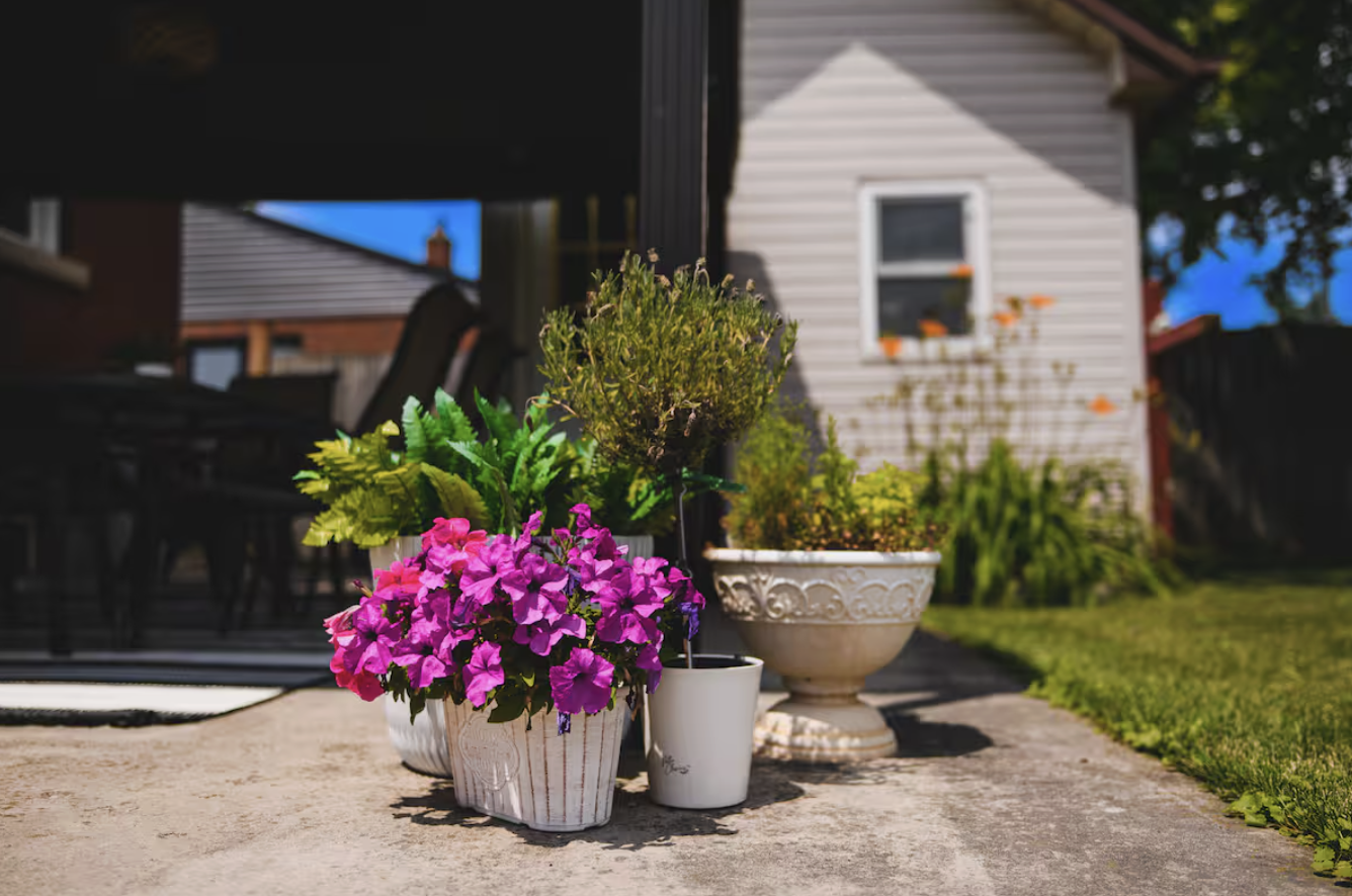 Screenshot 2025-12-30 at 11.18.33 AM.png