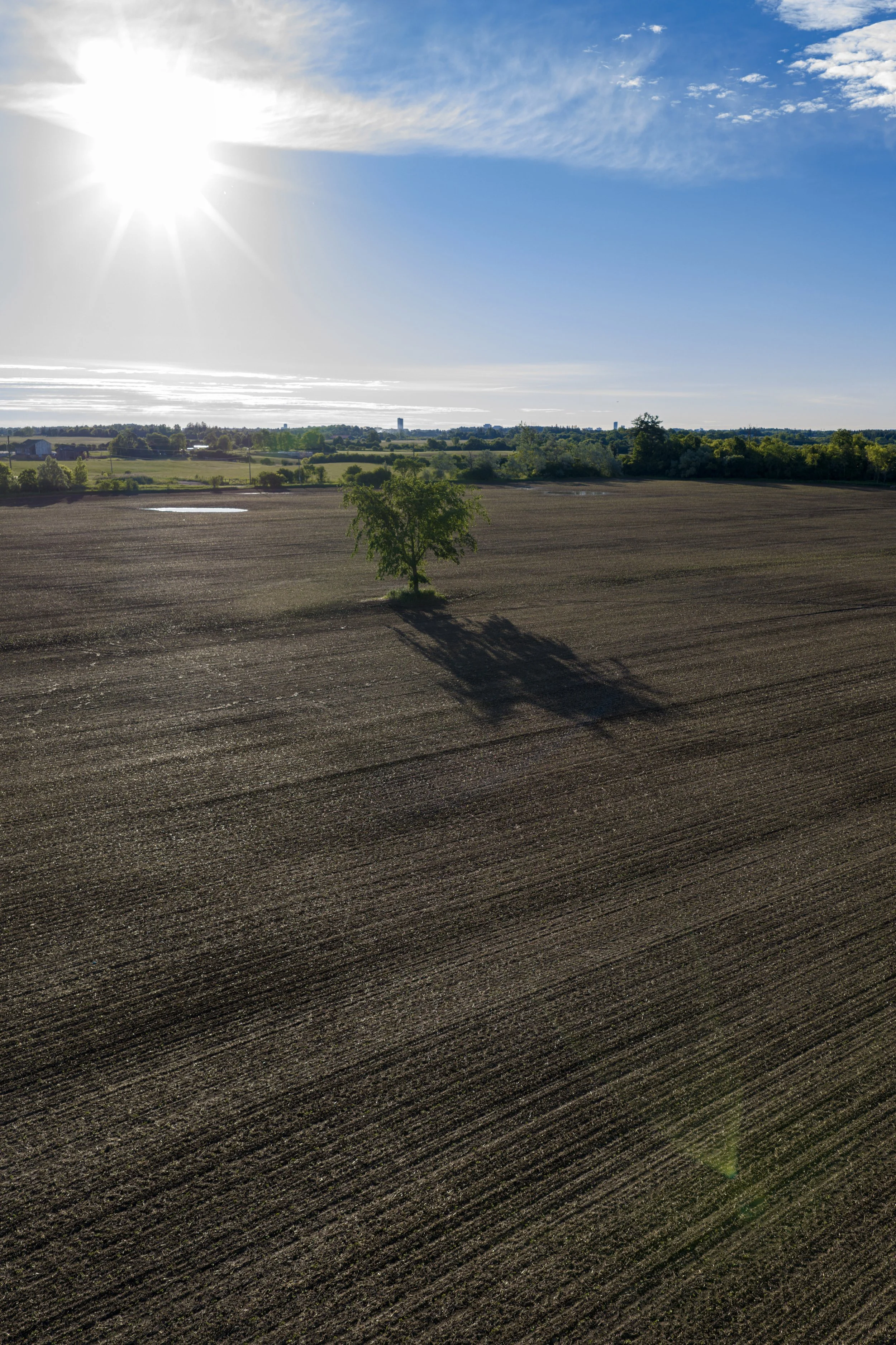 Landscapes