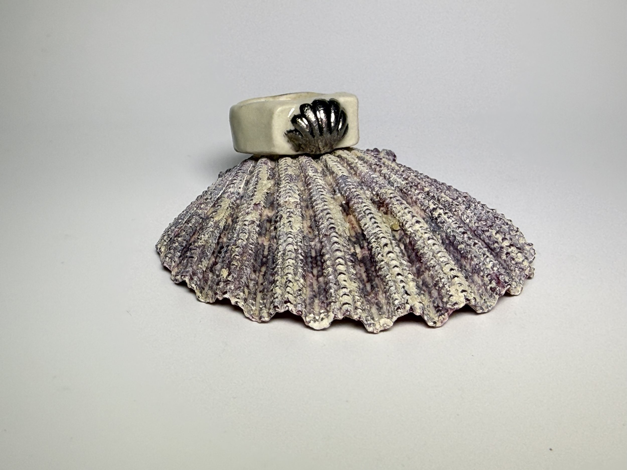Large Silver Shell Ring