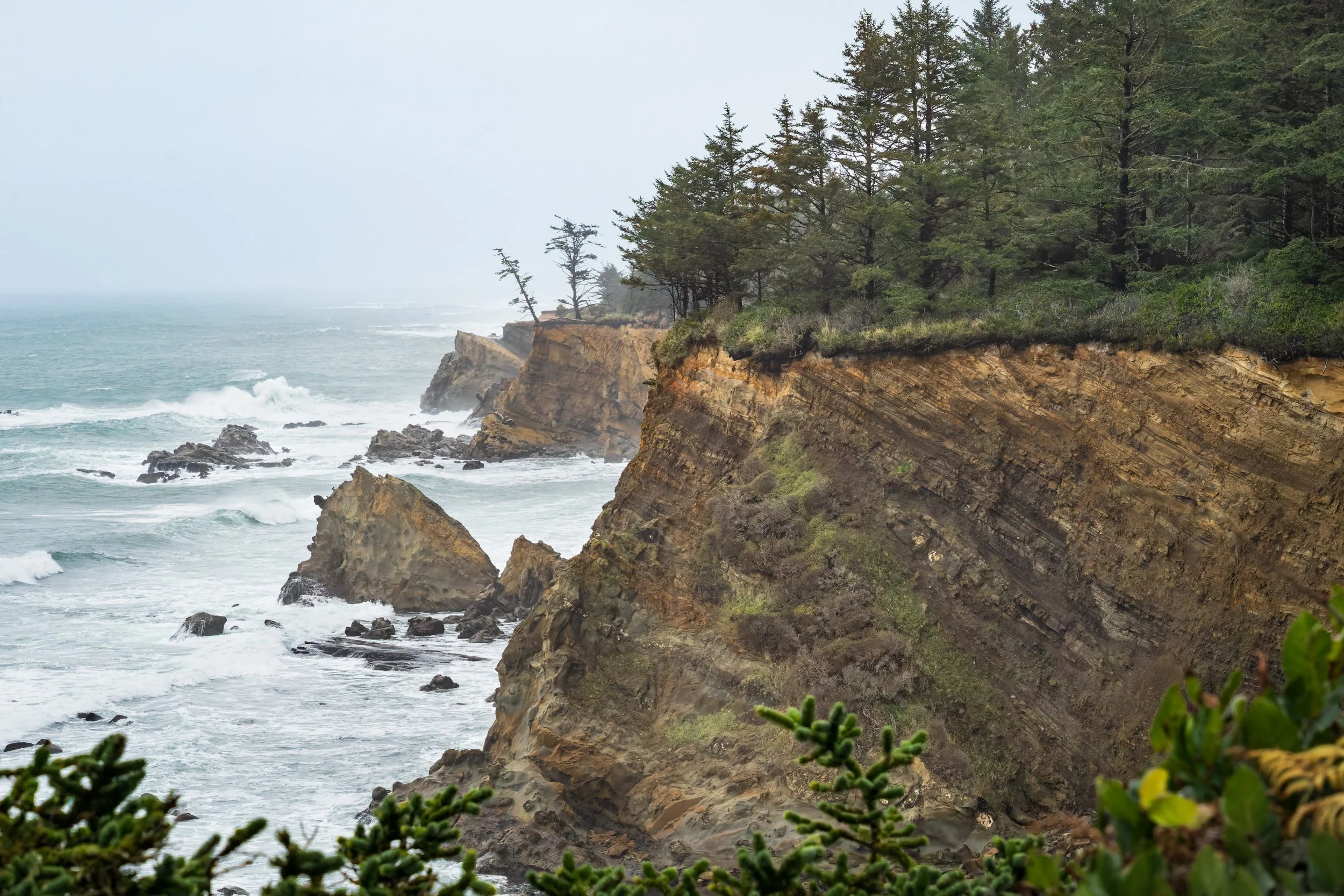 After the Storm (2).  Central Coast, Oregon US