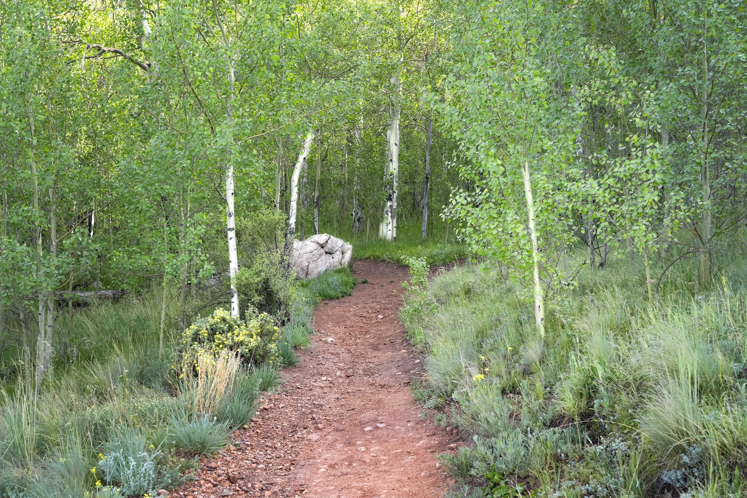 The Entrance.   Rocky Mountains, Colorado US