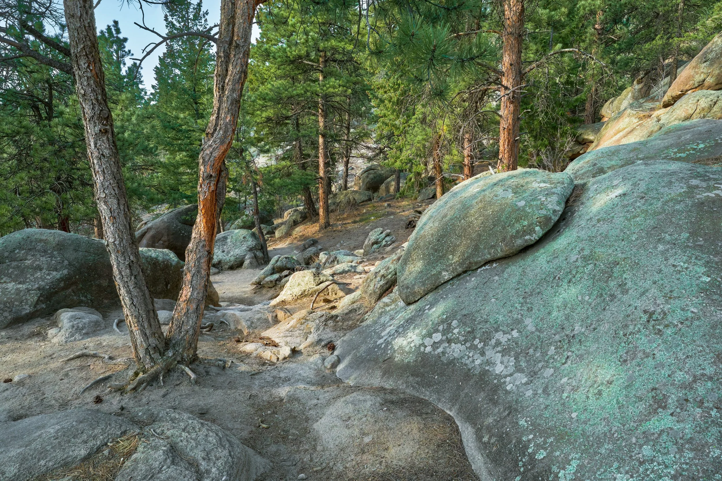 The Path Taken 2 (Looking Back).  Rocky Mountains, Colorado US