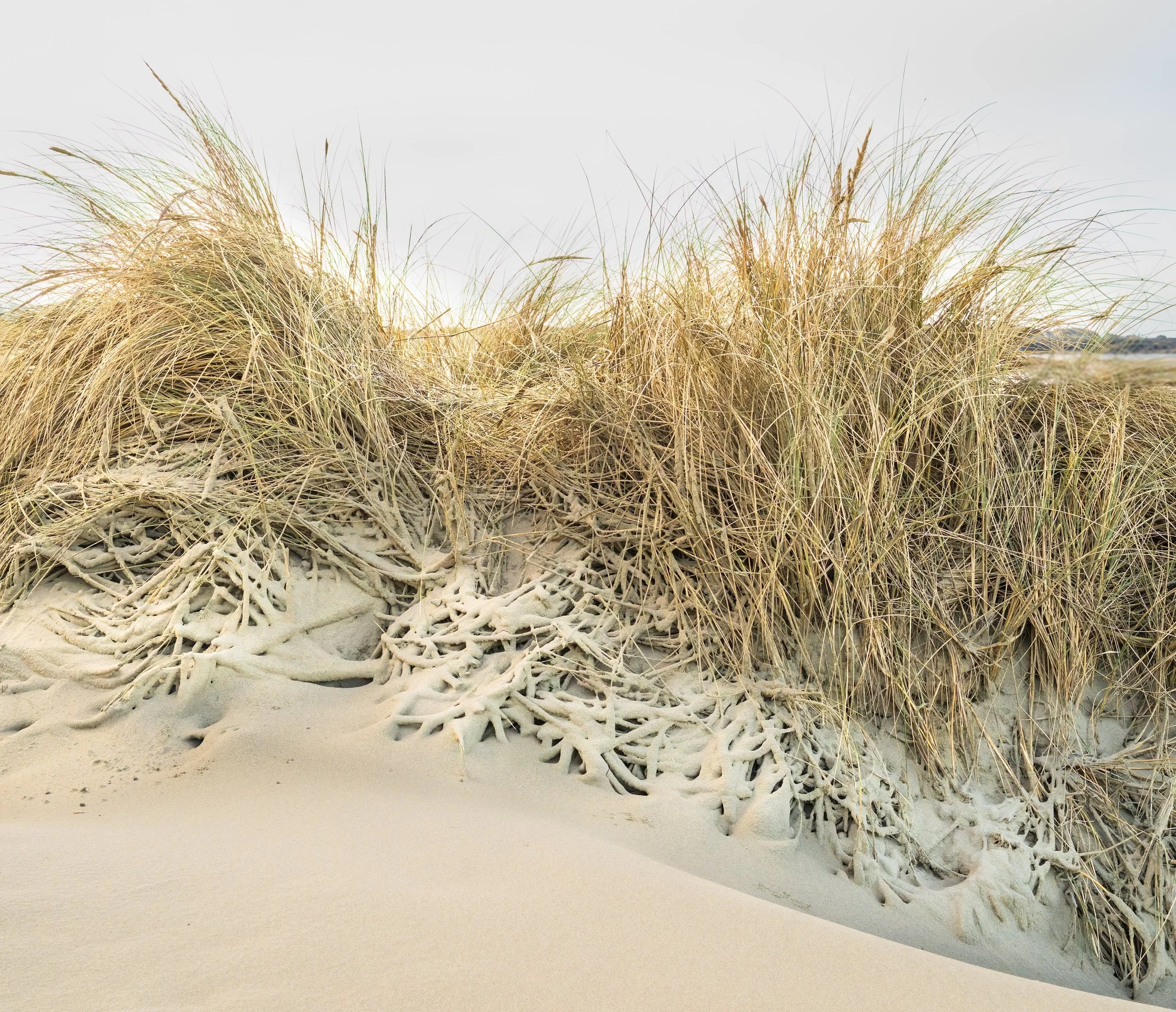 After the Storm - King Tide and Atmospheric River.  Central Coast, Oregon US