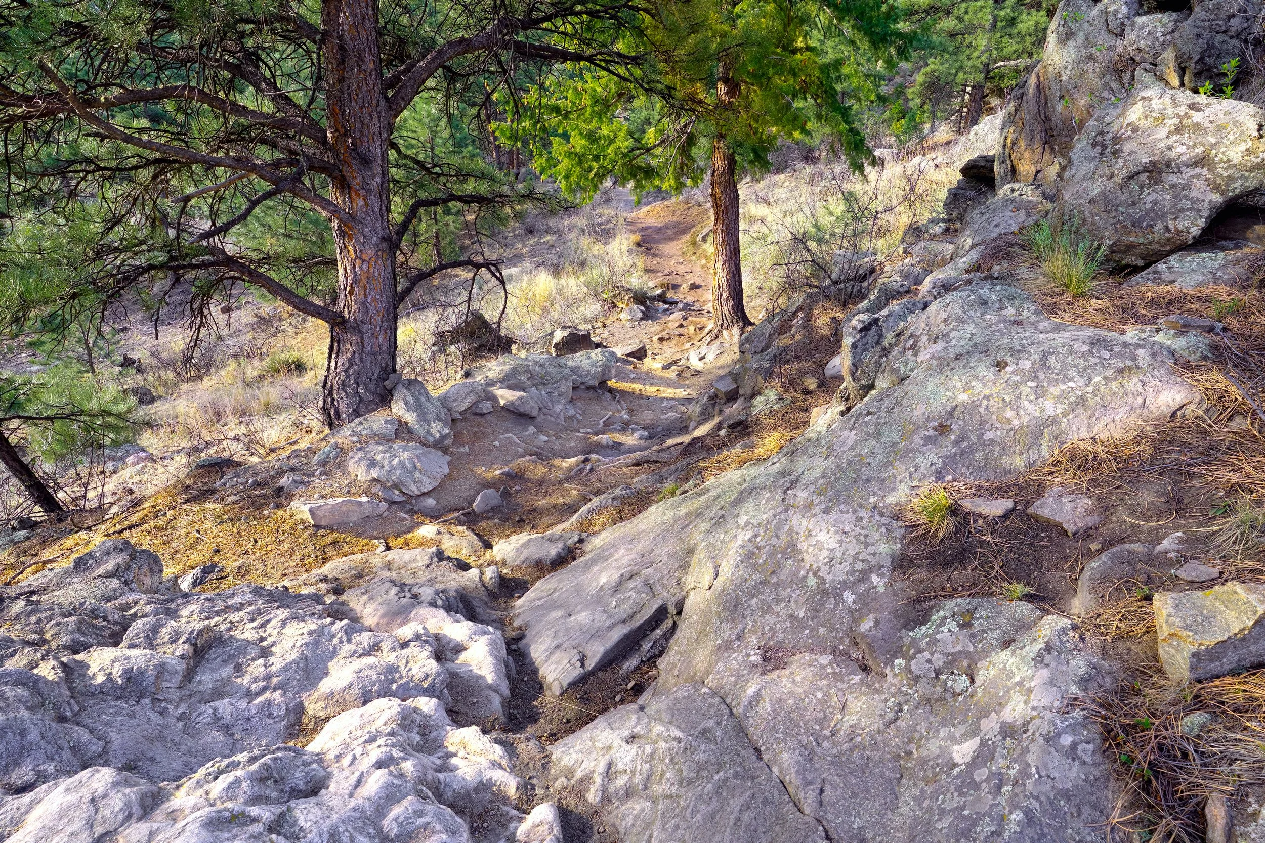 The Path Taken 1 (Looking Back).  Rocky Mountains, Colorado US