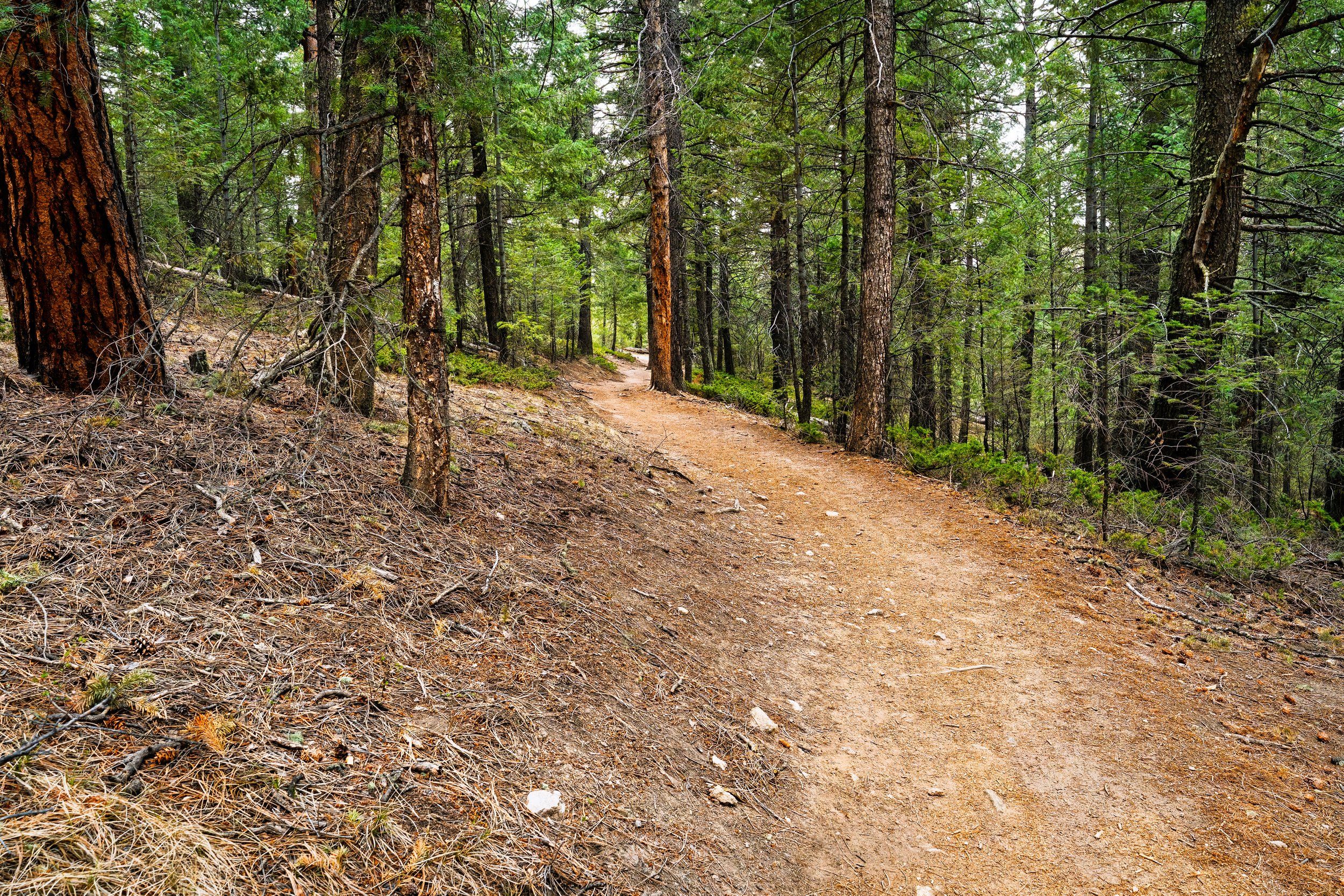 The Path Forward.   Rocky Mountains, Colorado US