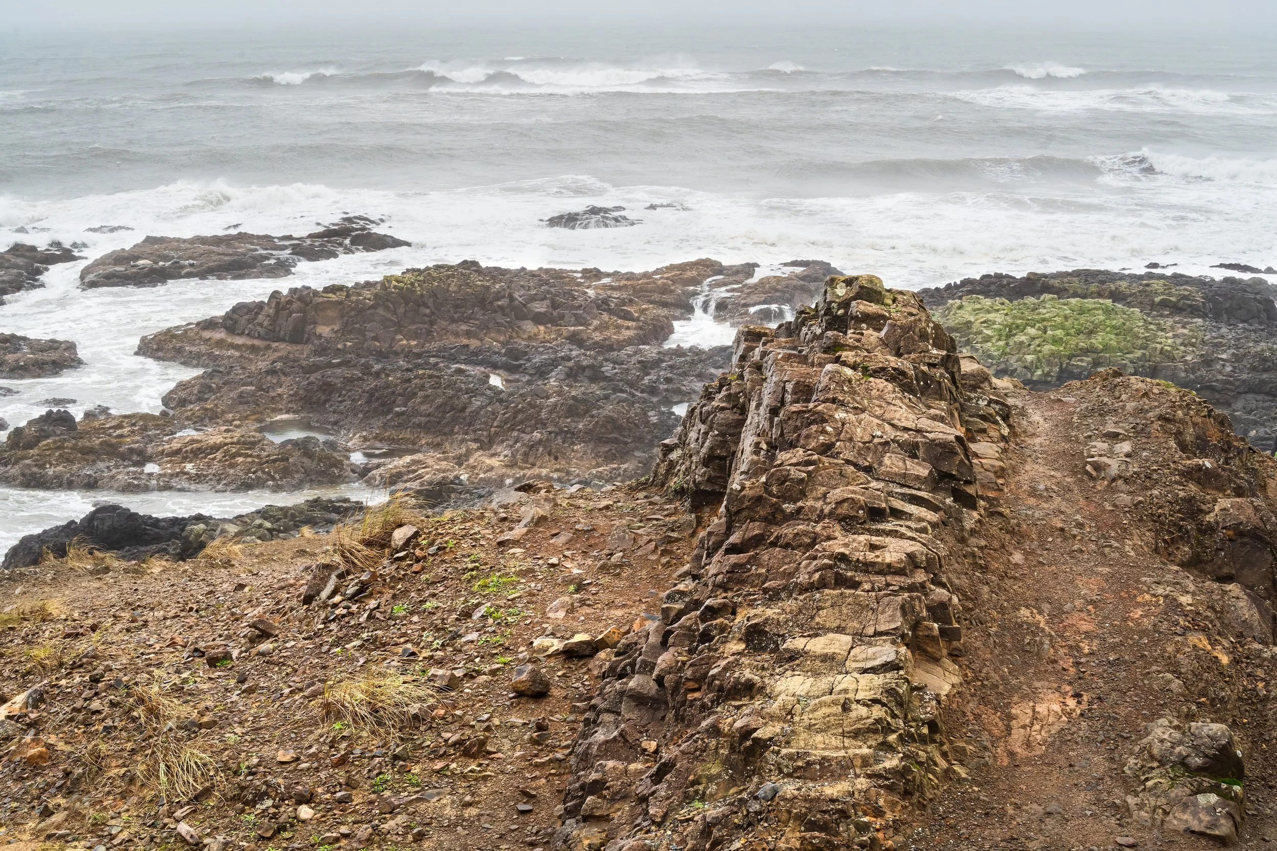 Rock Spine.  Central Coast, Oregon US
