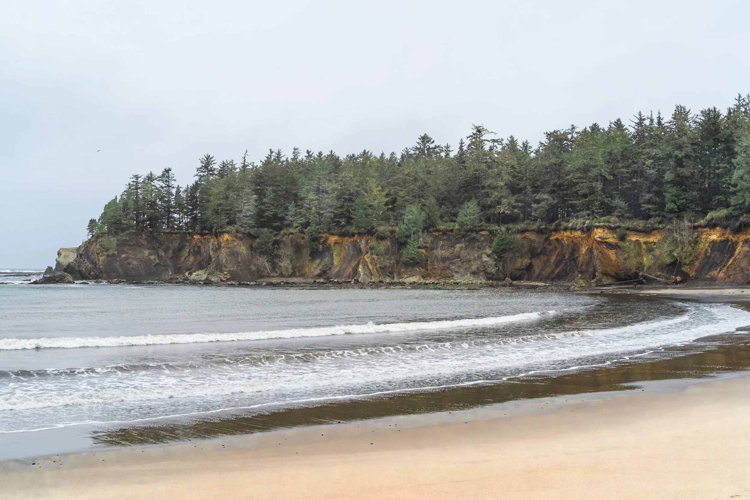 Cove 2.  Central Coast, Oregon US