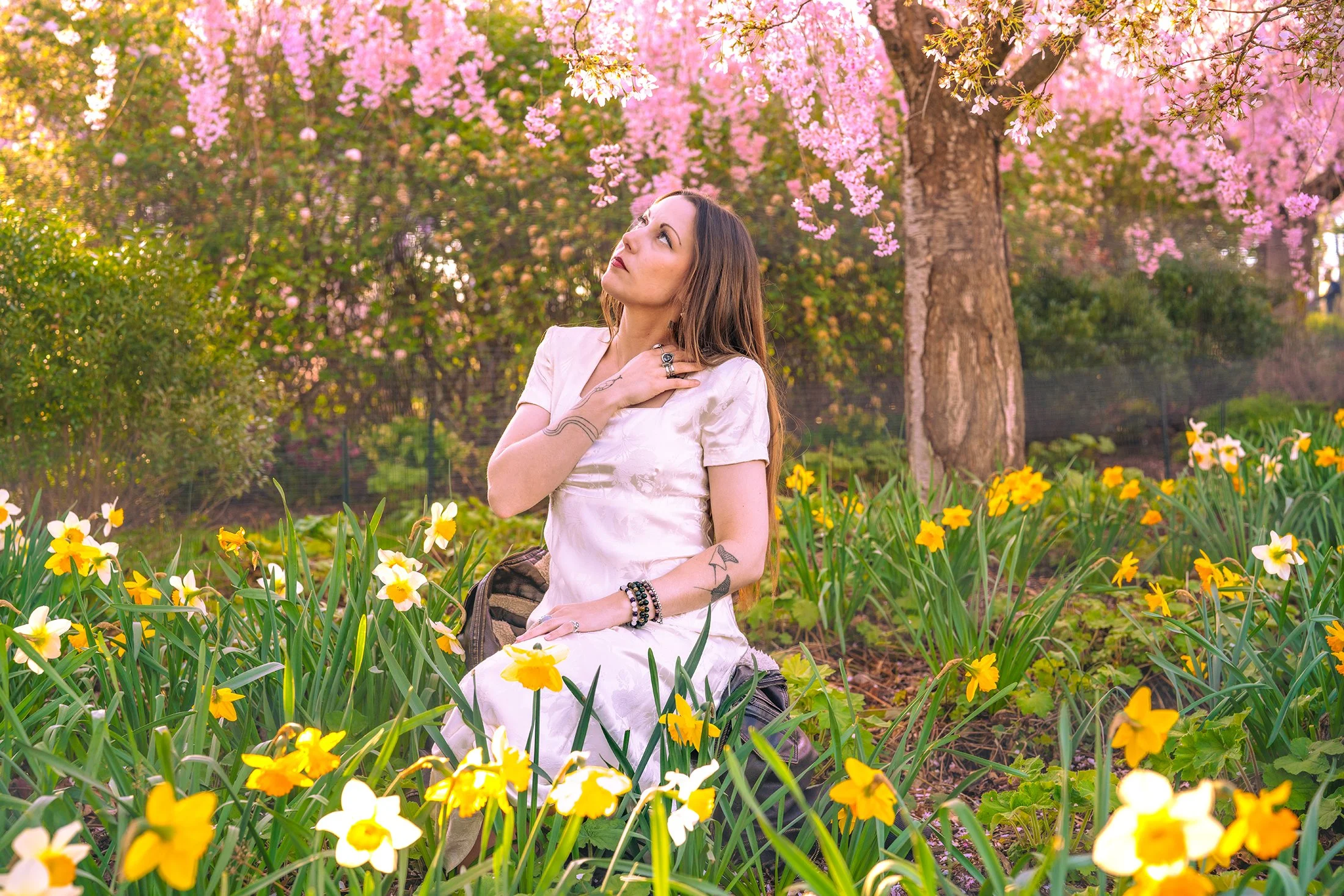Louka wearing a pink dress sitting in a field of yellow flowers with a cherry-blossom tree in the background.