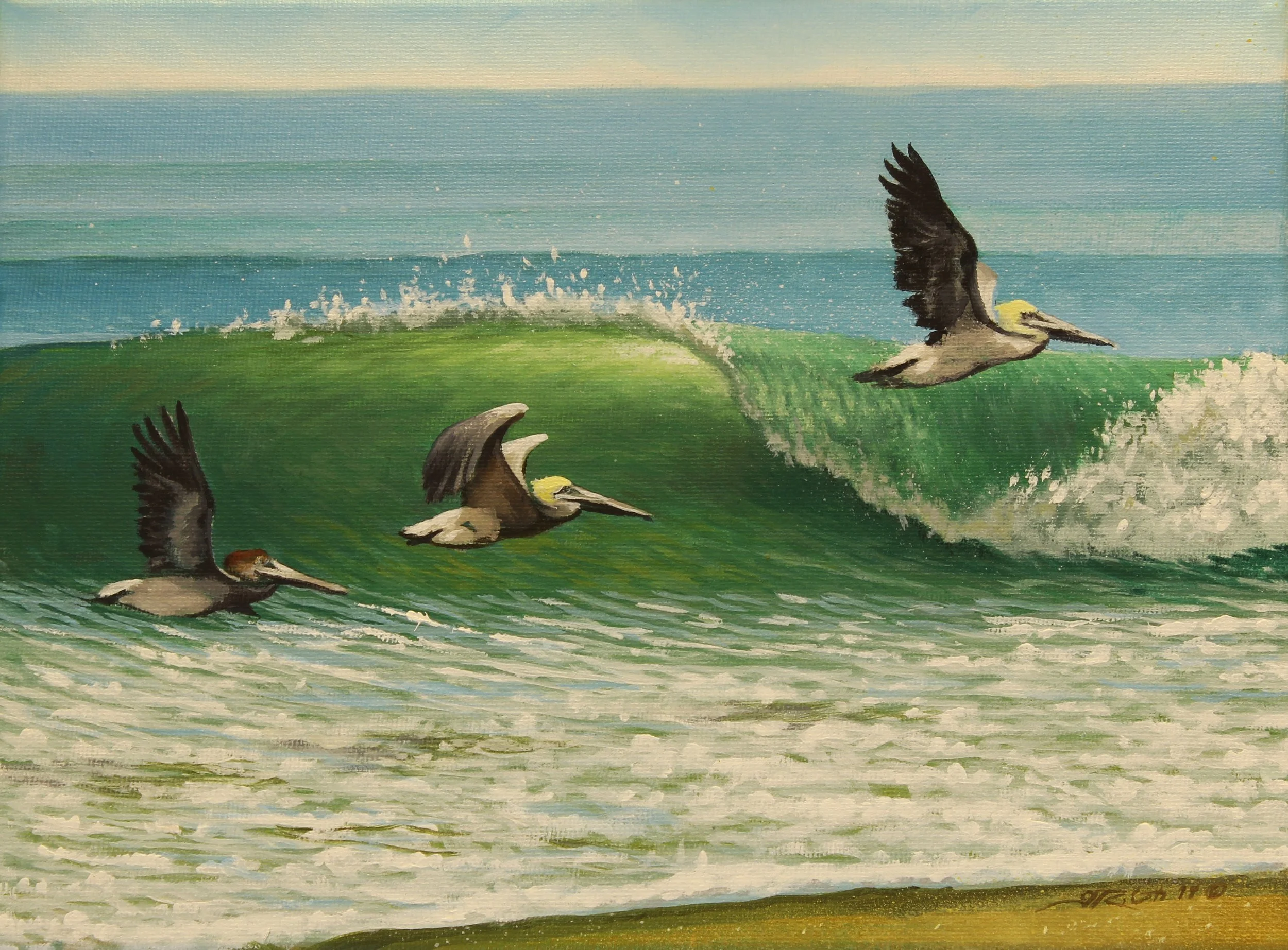 PELICANS OVER BREAK 2.jpg