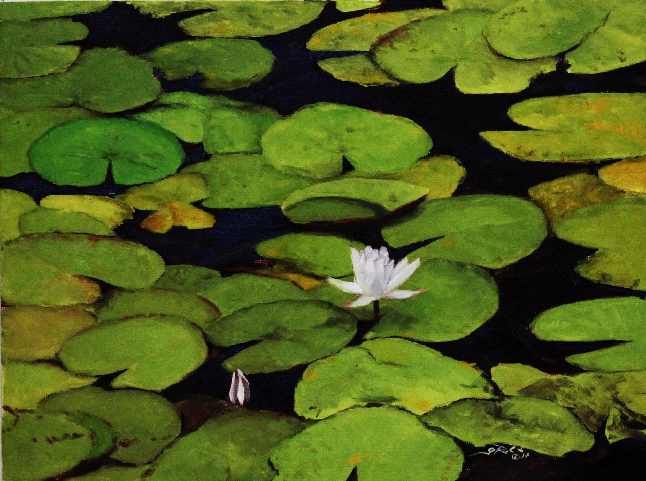 waterlilies 003.png