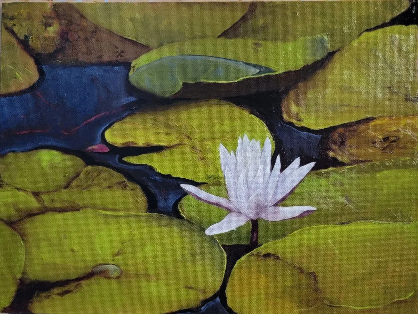 waterlily 2022 2.jpg