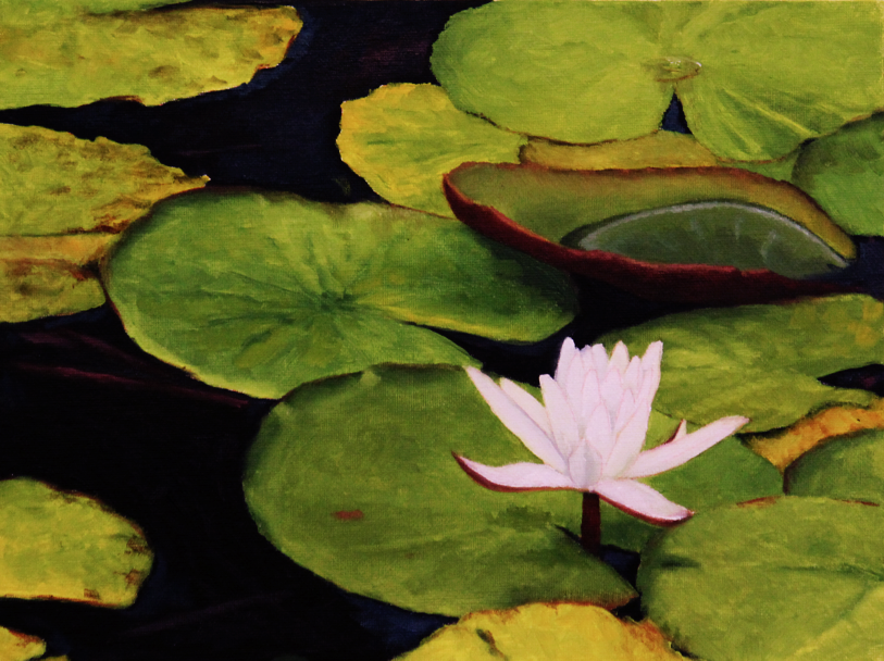 waterlilies 004.png