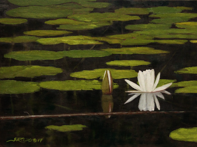 waterlilies 006 sm.png