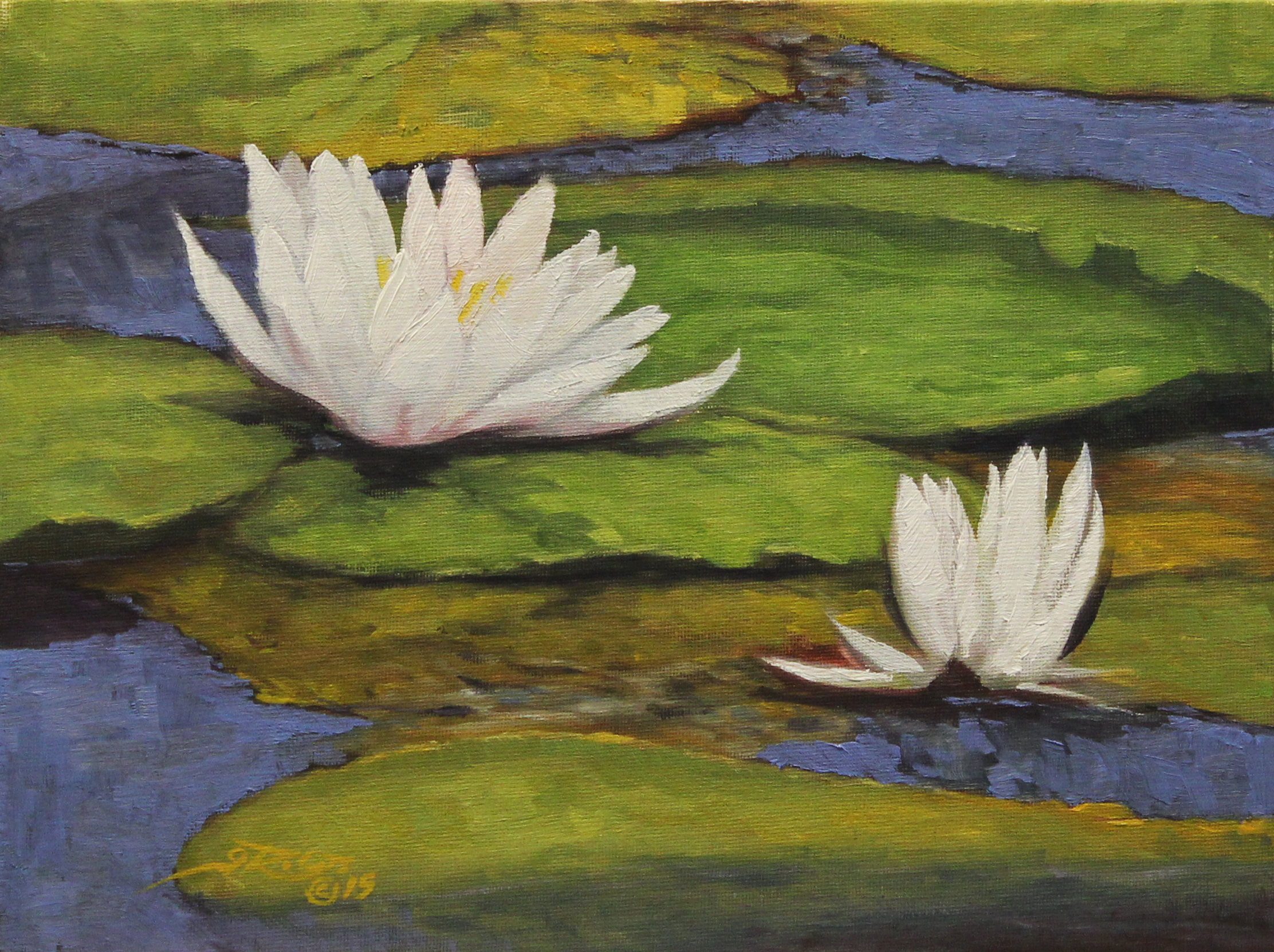 WATERLILIES 011.png