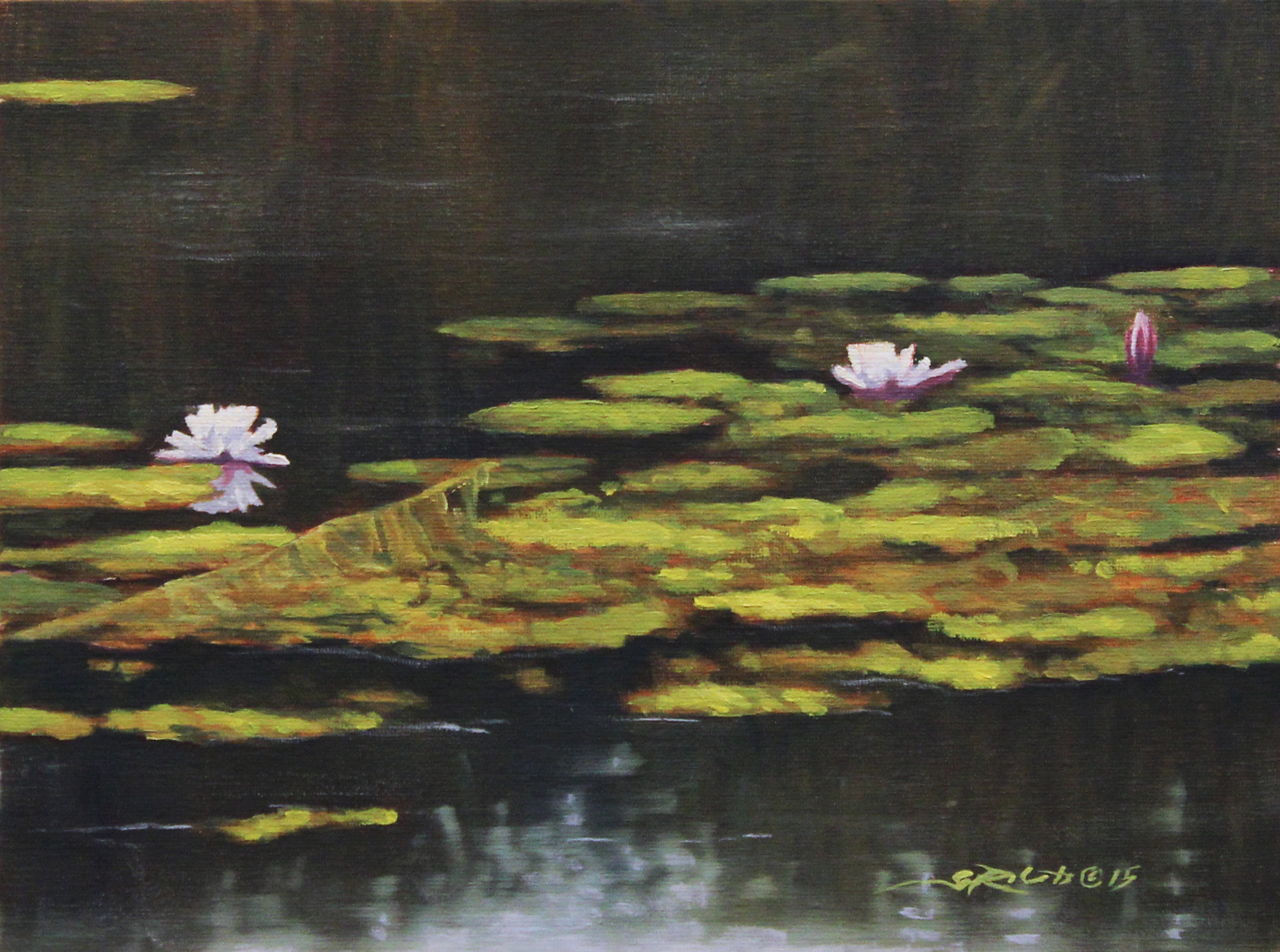 waterlilies 010.png