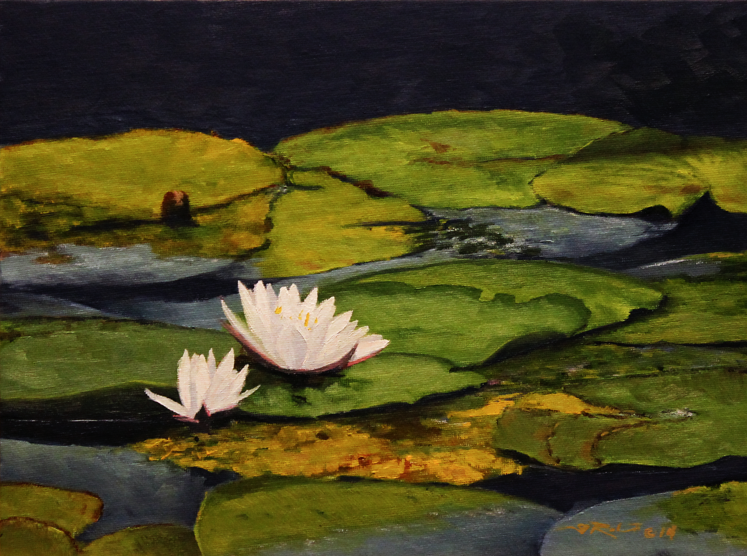 waterlilies 005.png