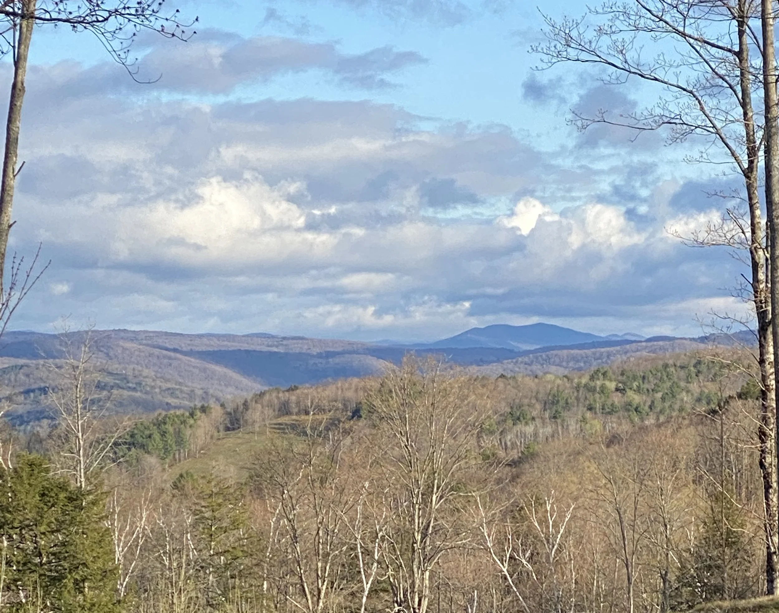 Hartland Dayview Landscape.jpg