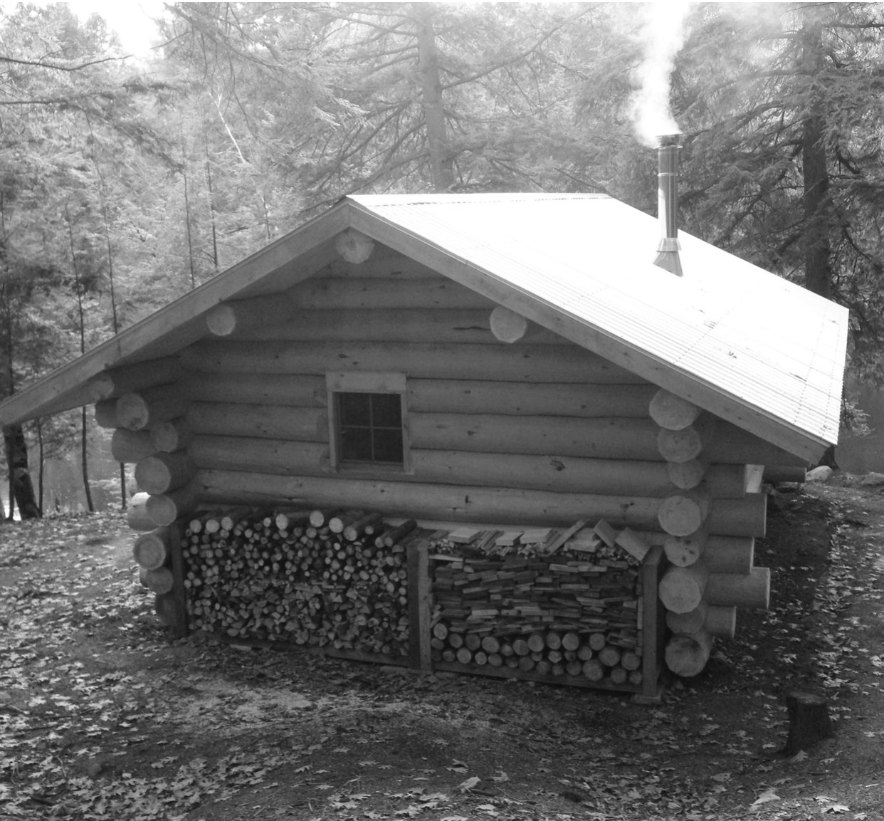 cabin bw.jpg