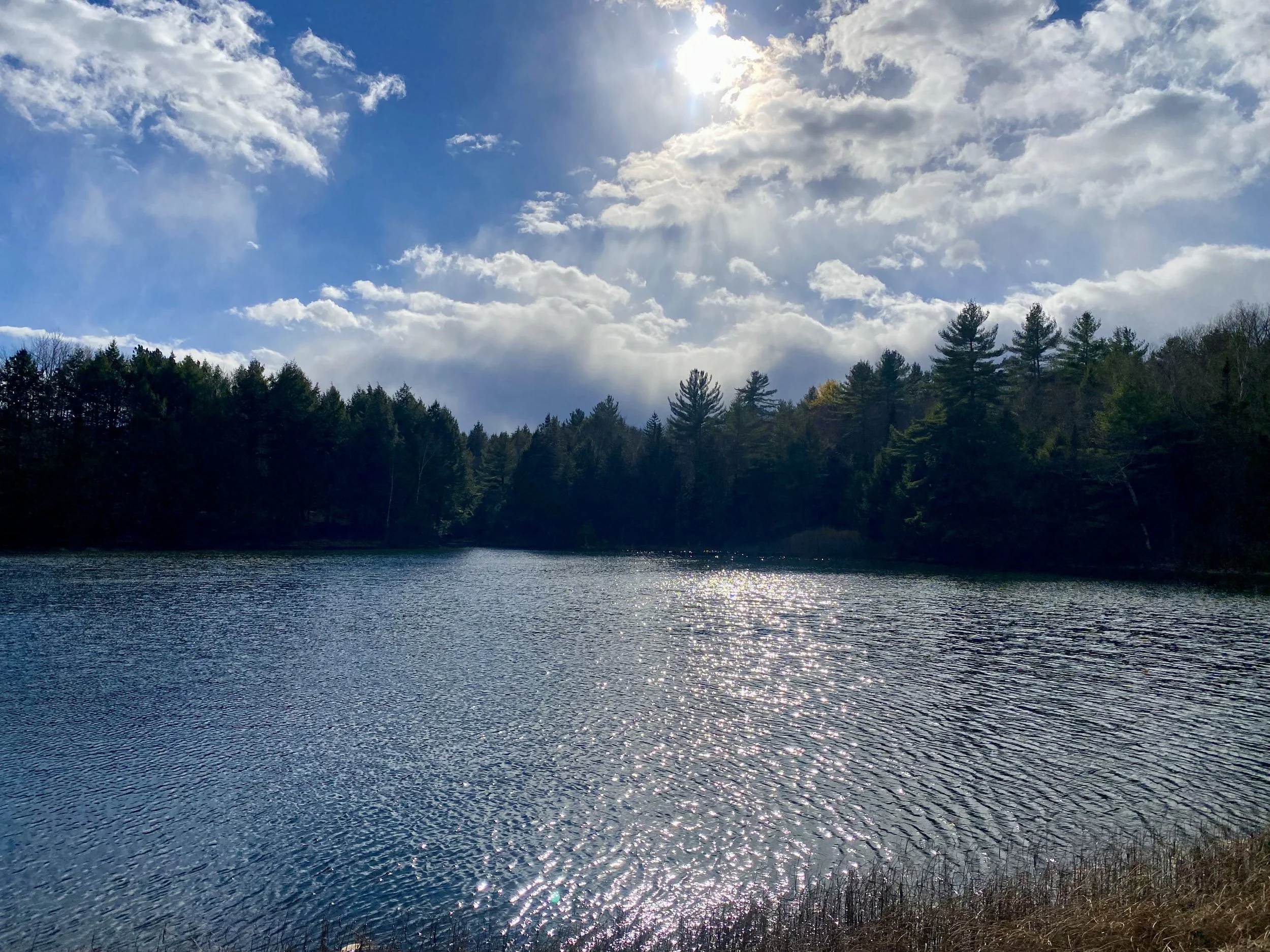 Pond with Sun.jpg