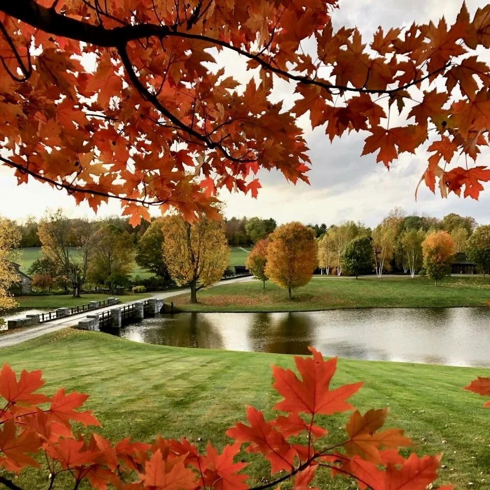 Fall_1298.jpg